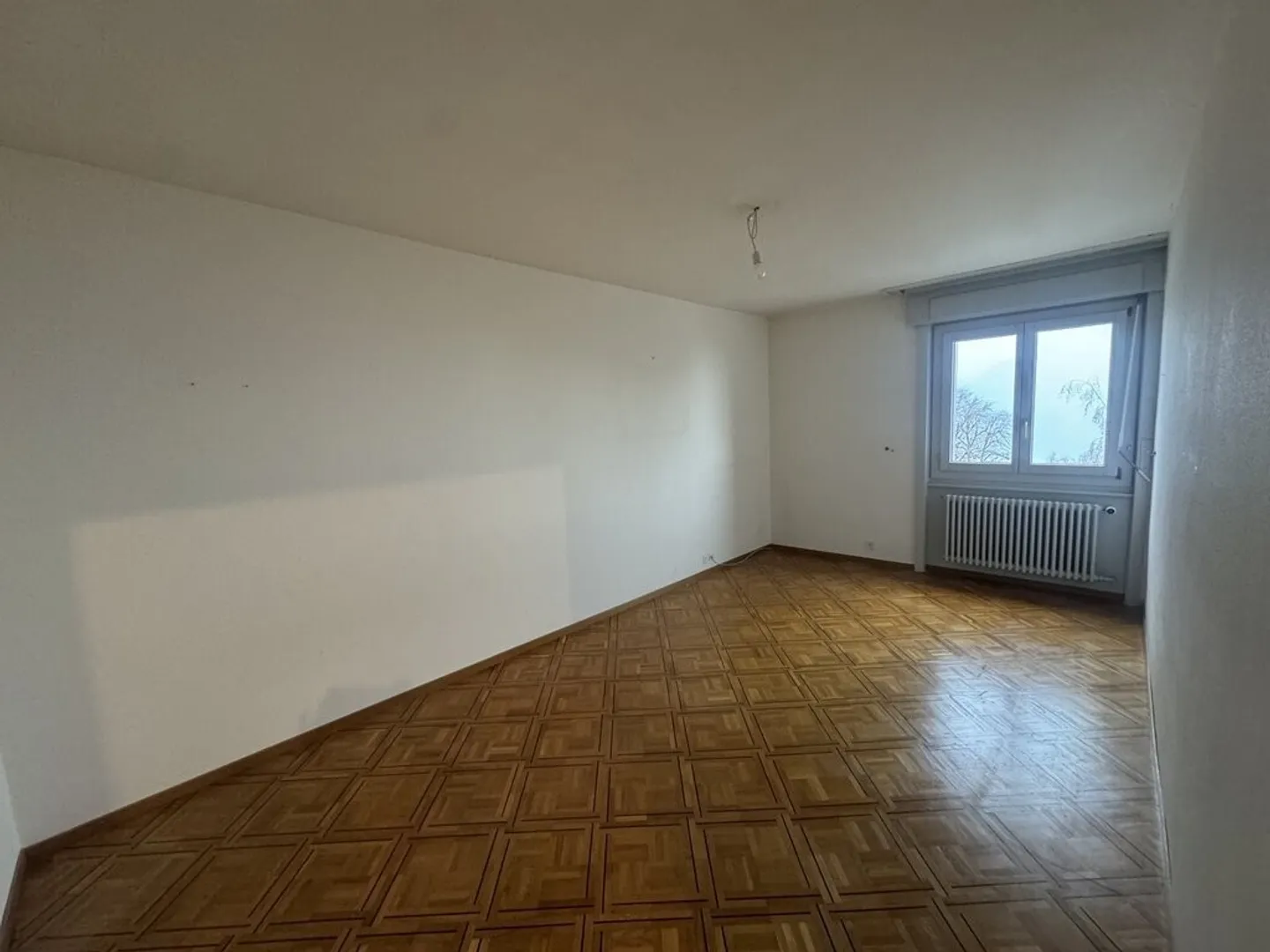 Spacious 5.5 rooms near Lake Geneva - Photo 4 of 8