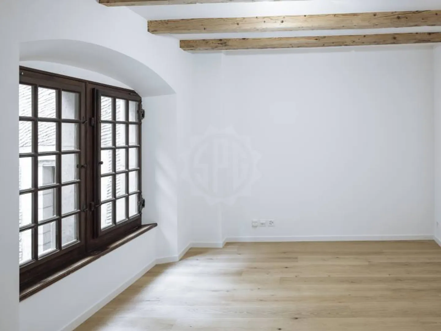 Extraordinary Apartment - Geneva - Photo 5 of 8