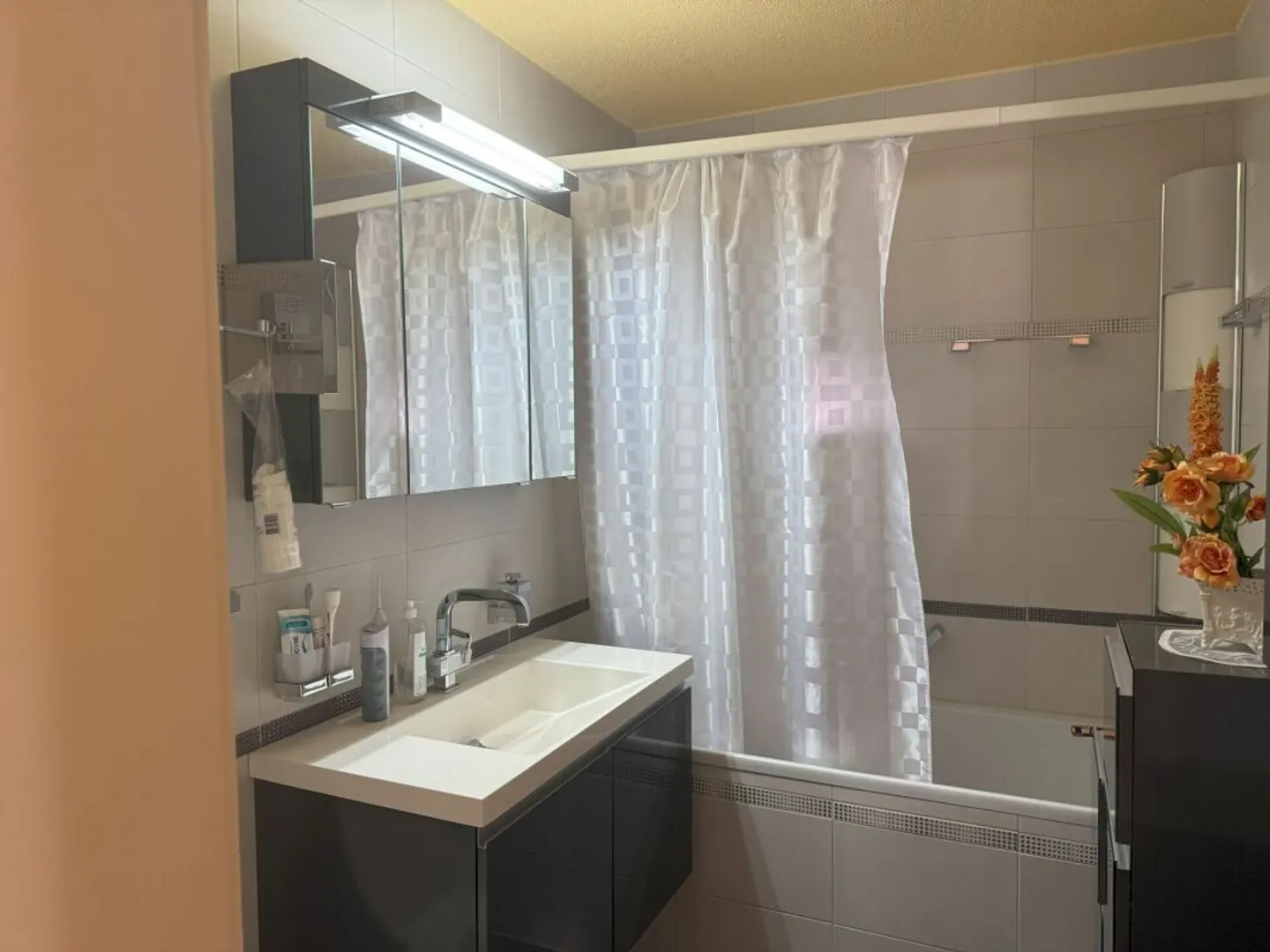 Appartamento 3.5 camere affascinante - Foto 14 di 15