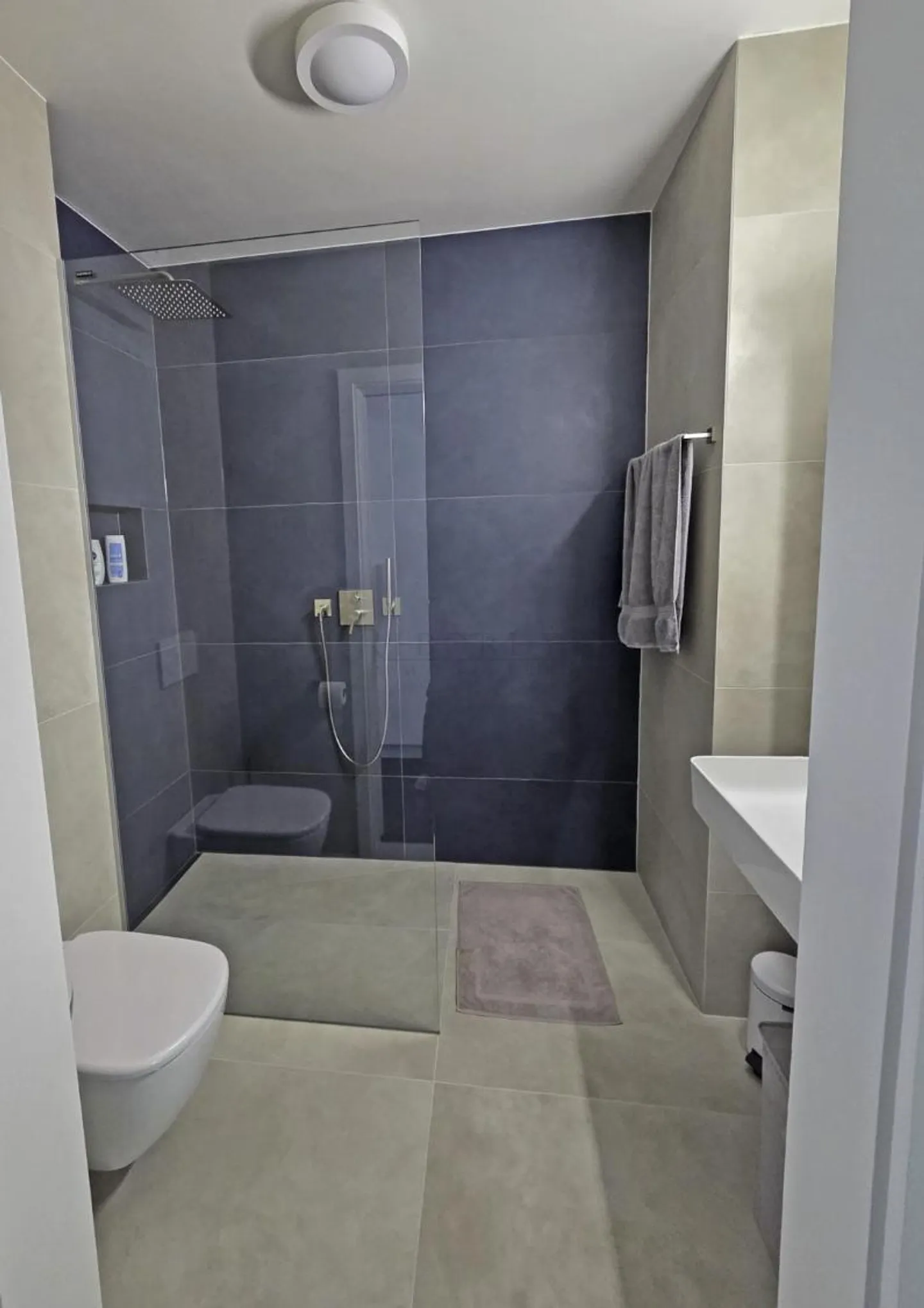Contemporary Apartment with Terrace - Photo 7 of 9