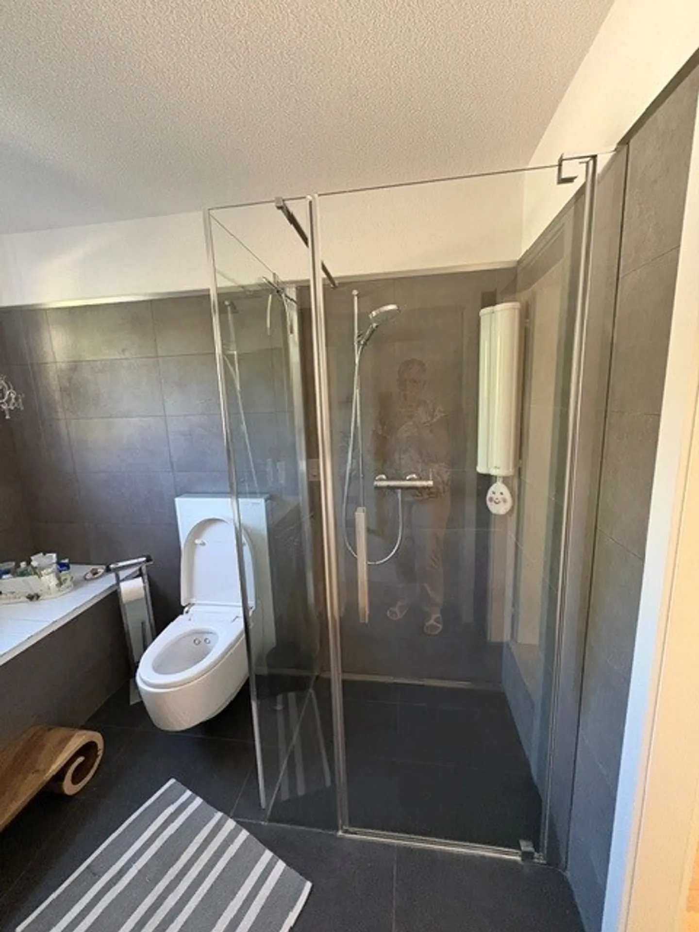 2½ ROOM APARTMENT IN WANGEN AN DER AARE (BE), FURNISHED, TEMPORARY - Photo 8 of 9