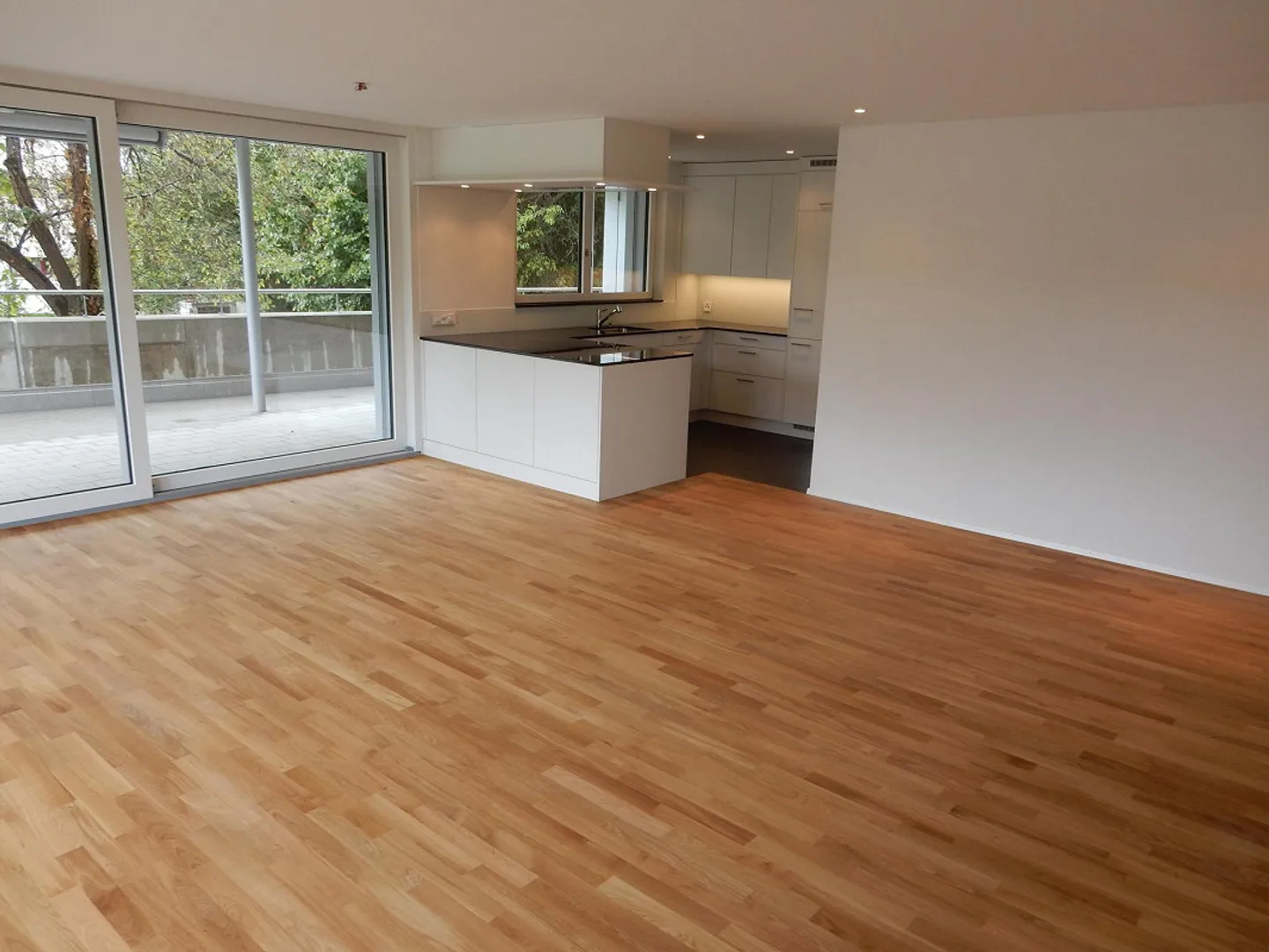 3.5 Room Apartment in Schaffhausen - Photo 3 of 11