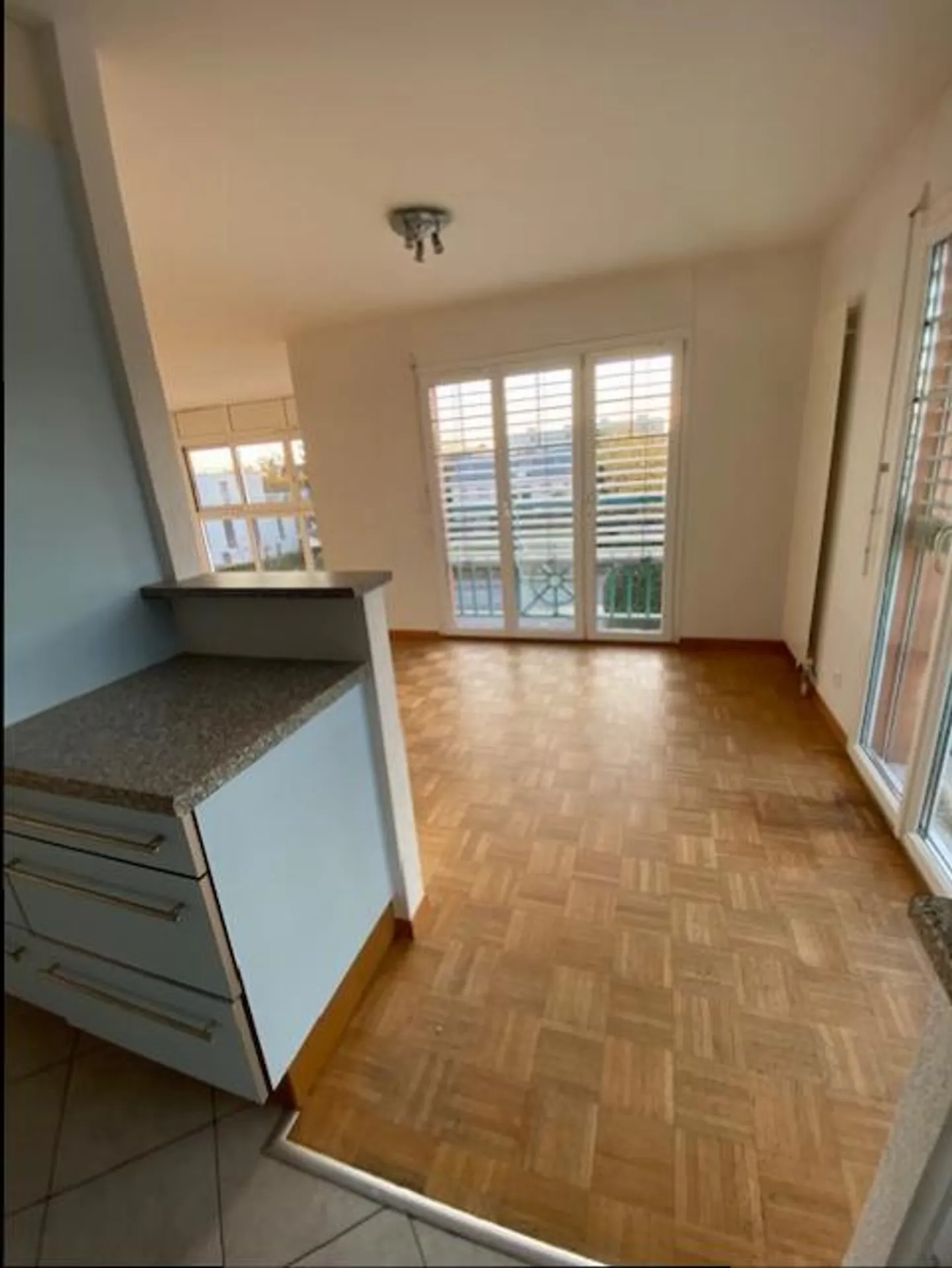 LARGE APARTMENT - 130 M2 - NYON - NEAR TRAIN STATION - Photo 5 of 13