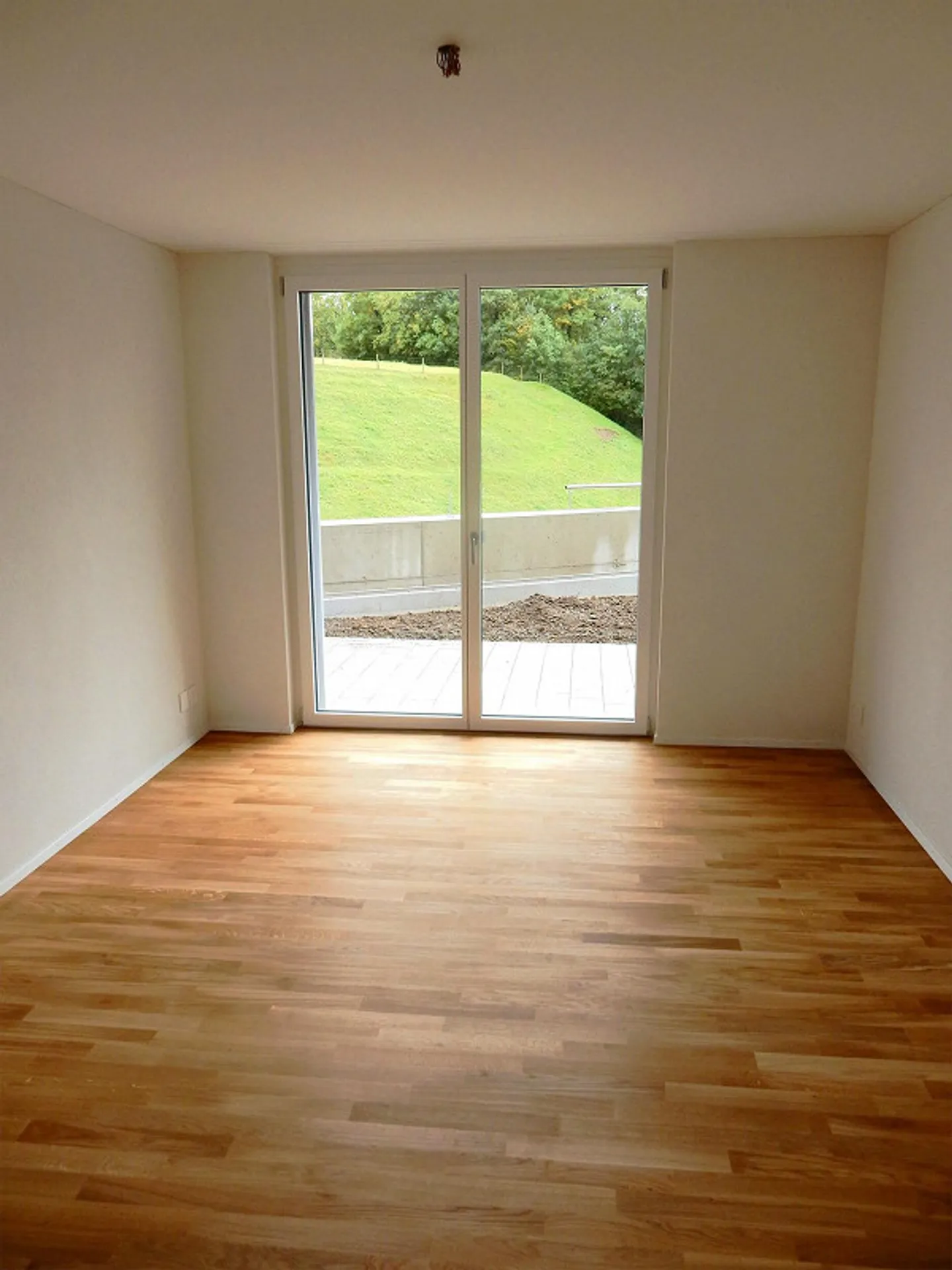 3.5 Room Apartment in Schaffhausen - Photo 6 of 11