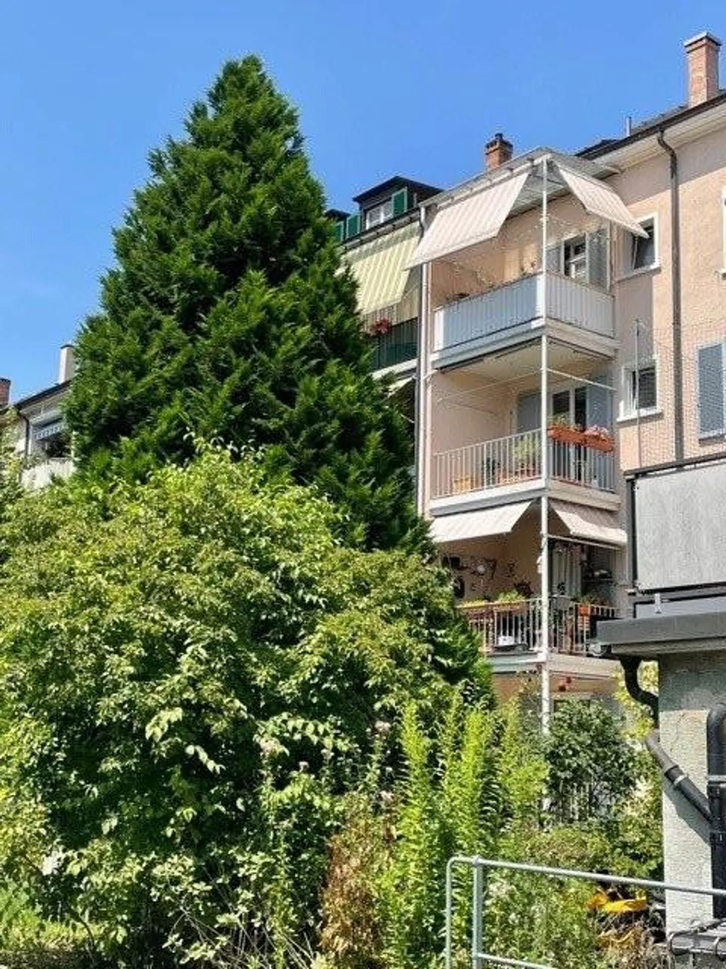 Charmante Wohnung nahe Zoo Basel - Foto 3 von 11
