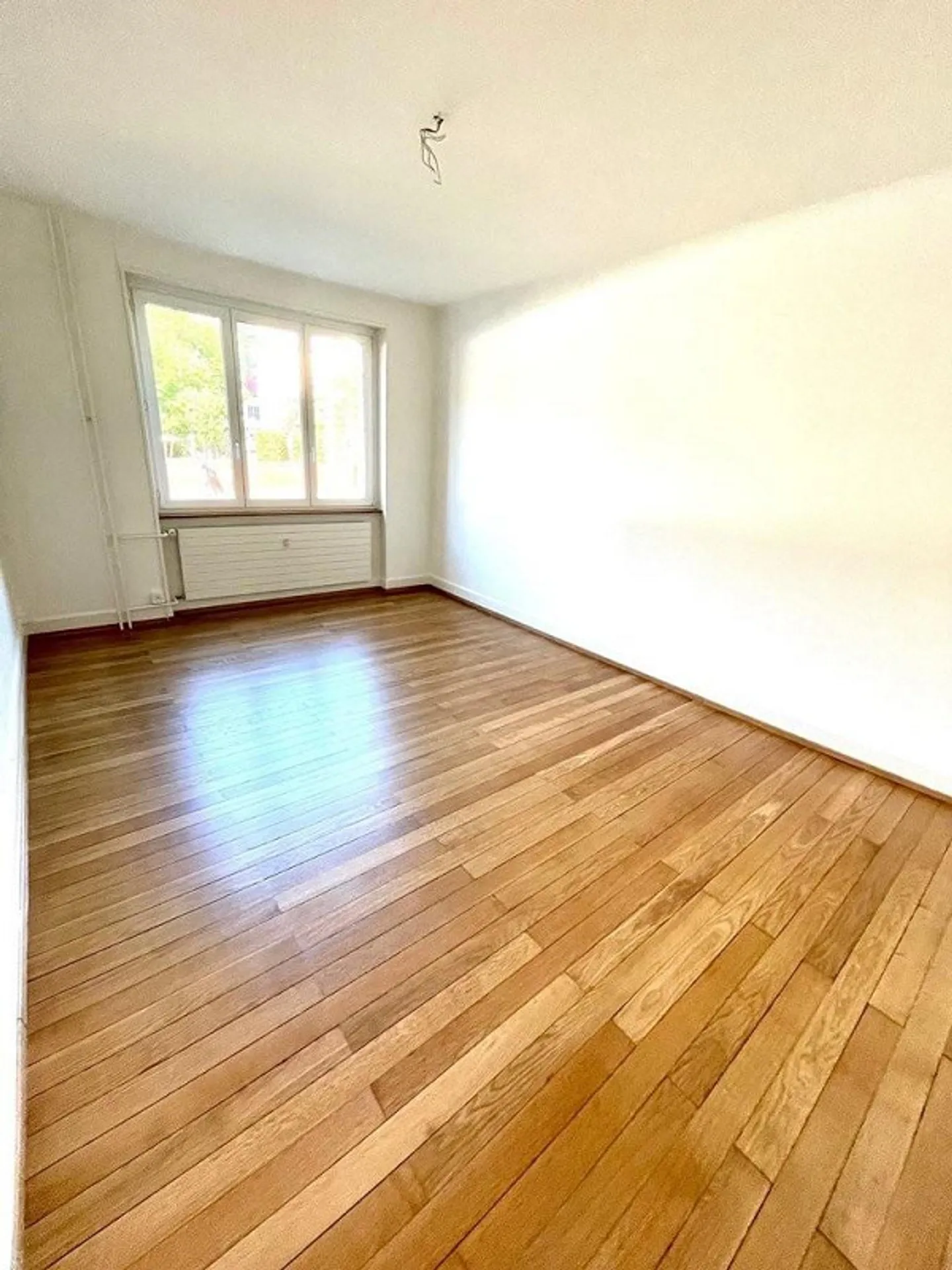 Charmante Wohnung nahe Zoo Basel - Foto 4 von 11