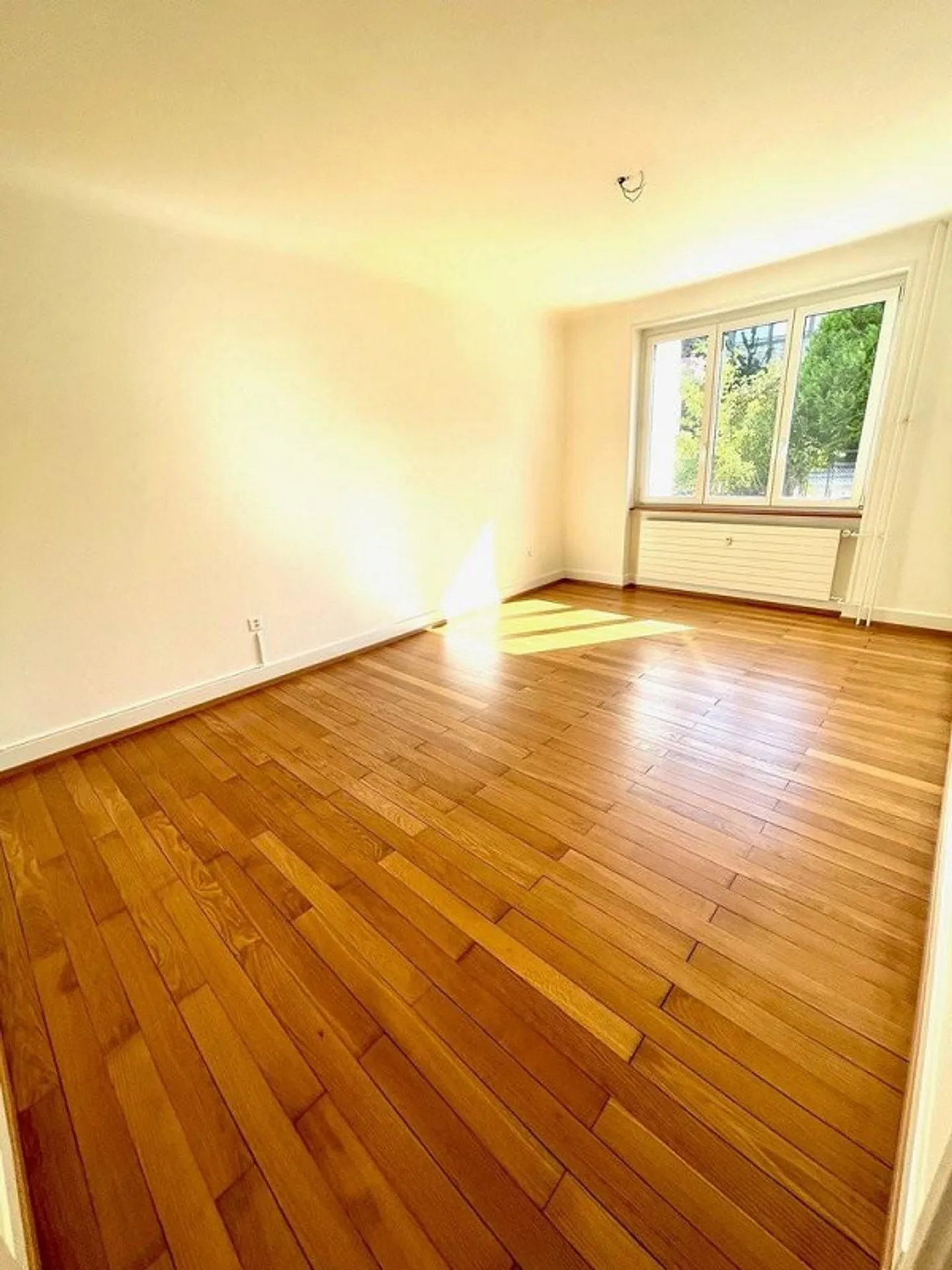 Charmante Wohnung nahe Zoo Basel - Foto 10 von 11