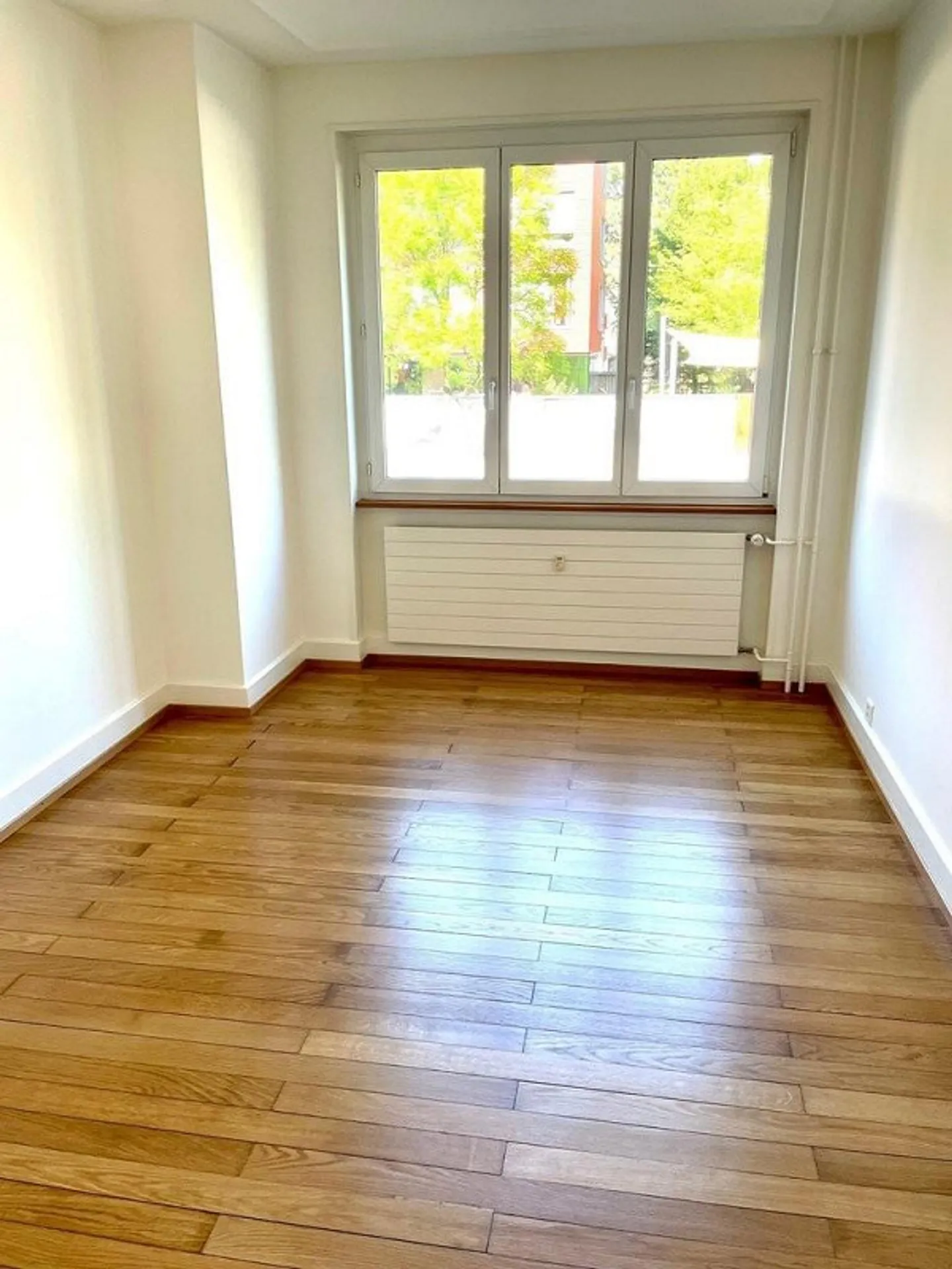 Charmante Wohnung nahe Zoo Basel - Foto 11 von 11