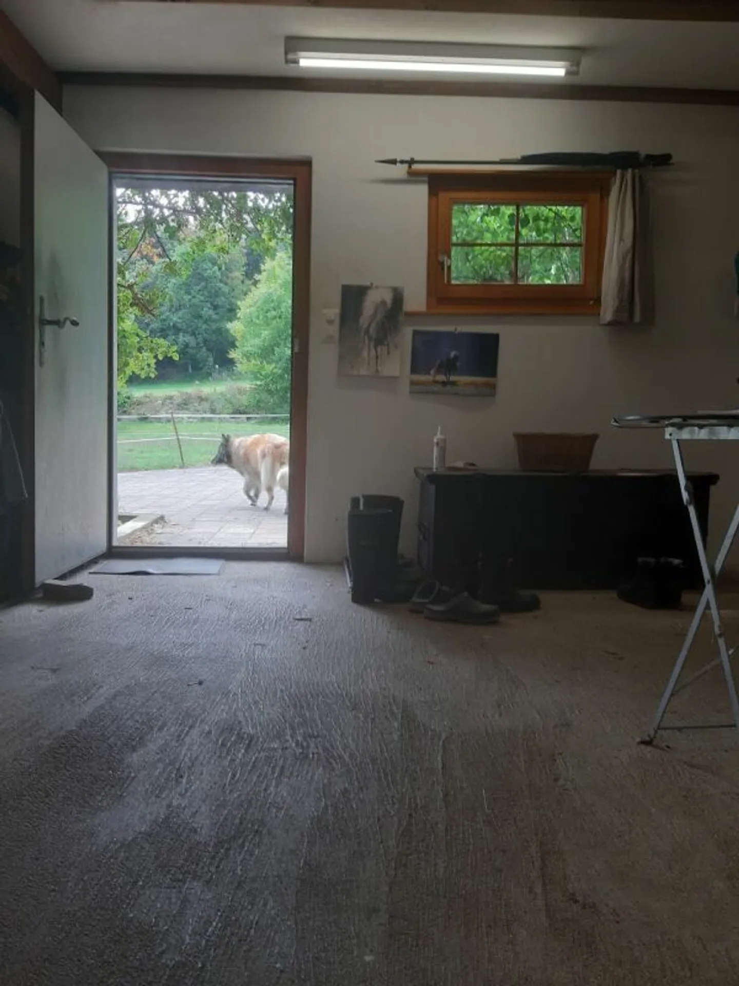 Beuernhaus con zona ricreativa sport equestri - Foto 41 di 44