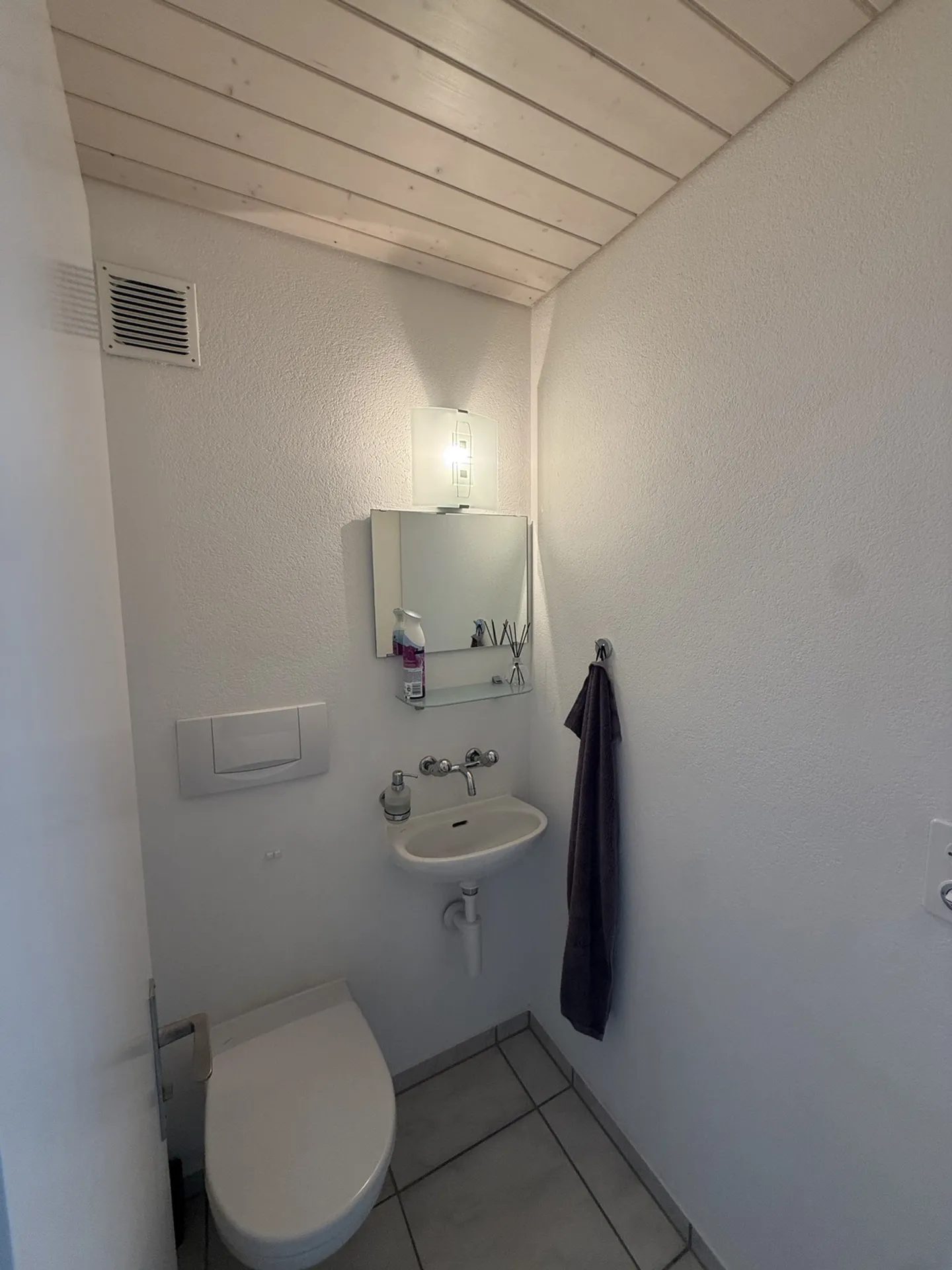 APPARTAMENTO 3½ STANZE A IPSACH (BE), ARREDATO, TEMPORANEO - Foto 8 di 9