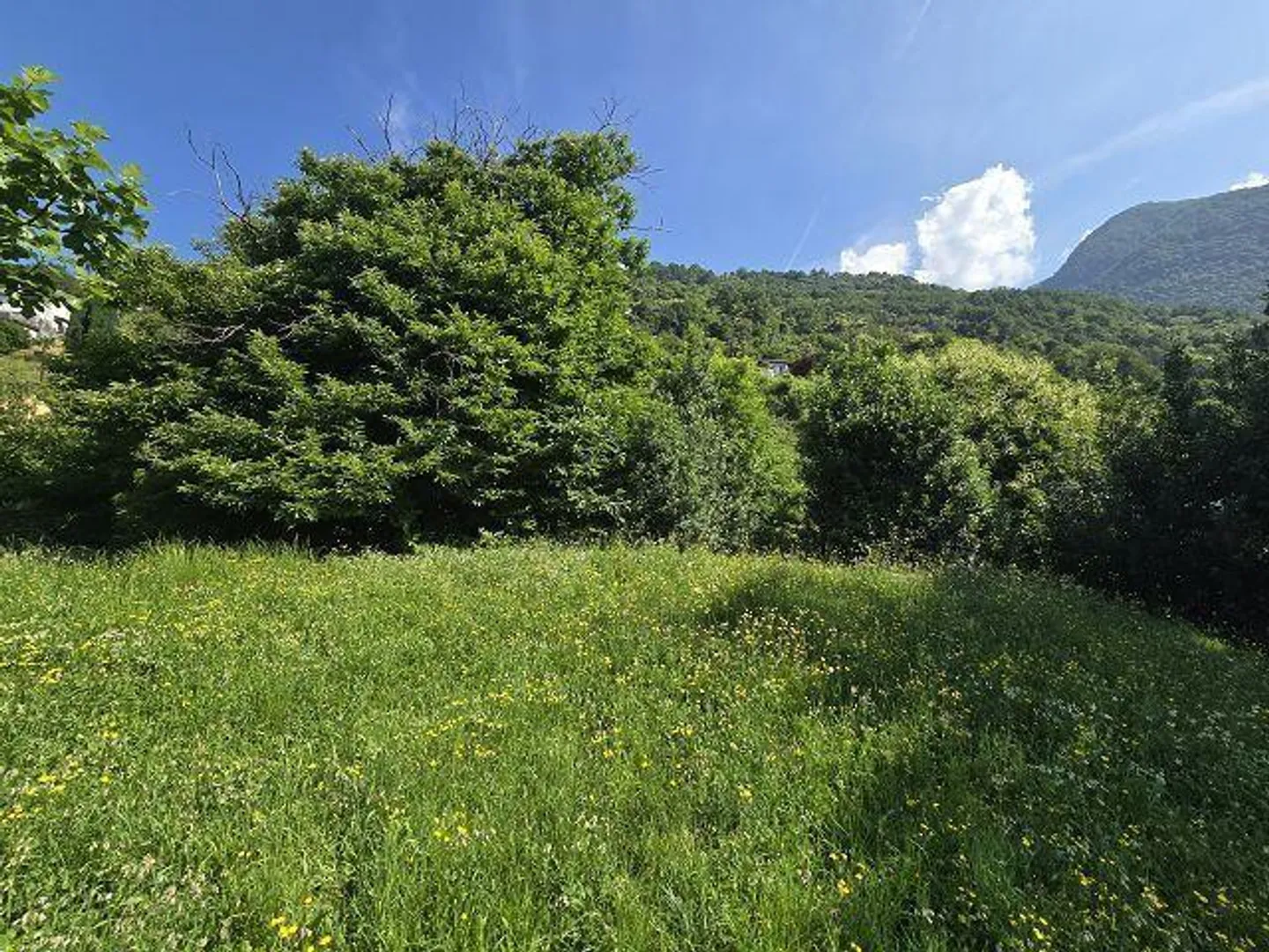 Terreno edificabile R2 di 1377 m2 molto soleggiata, tranquilla, bel... - Foto 5 di 14