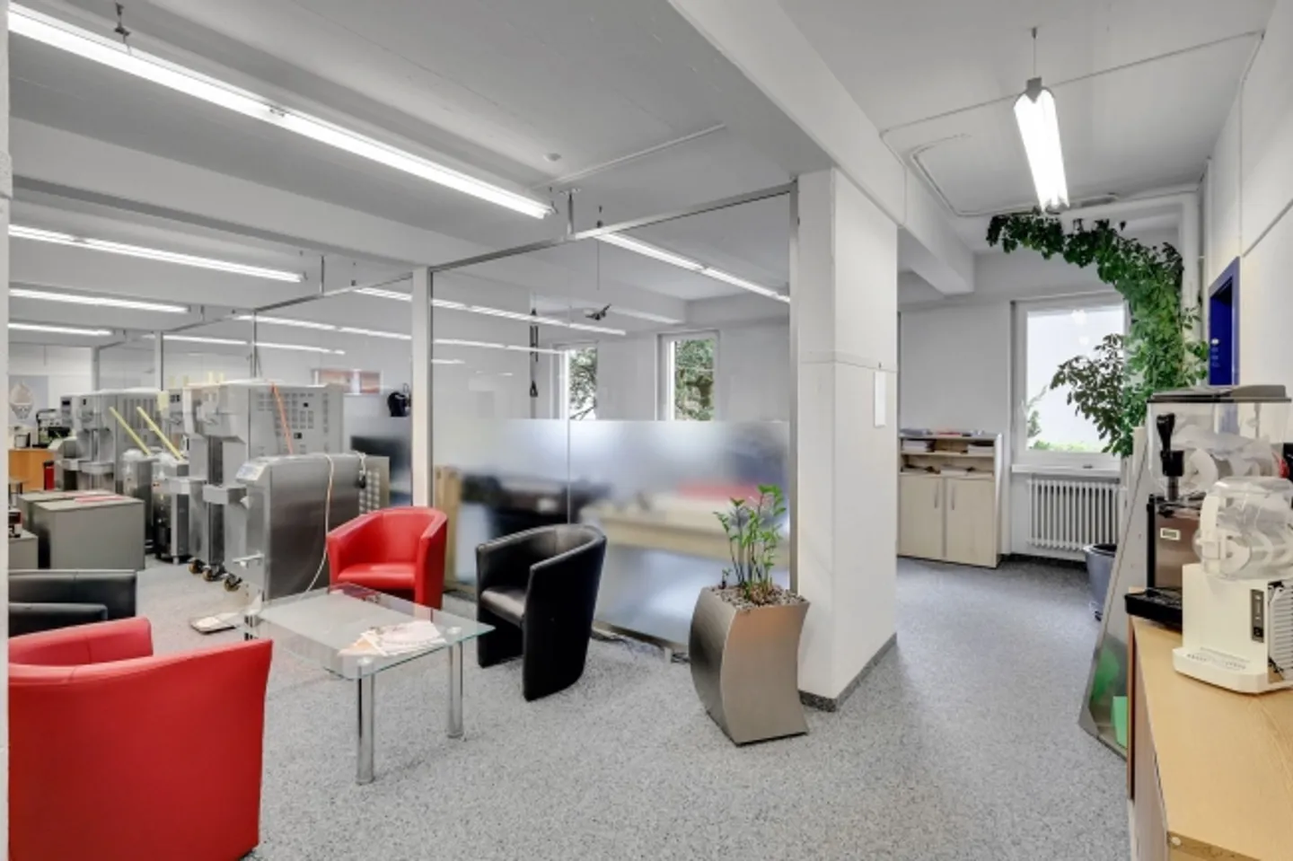 Immobile commerciale a Wettingen: un buon investimento! - Foto 2 di 11