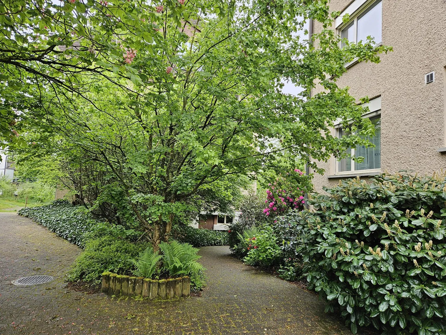 Appartement lumineux de 5,5 pièces avec vue sur la verdure, parquet, calme et central - Photo 16 sur 17