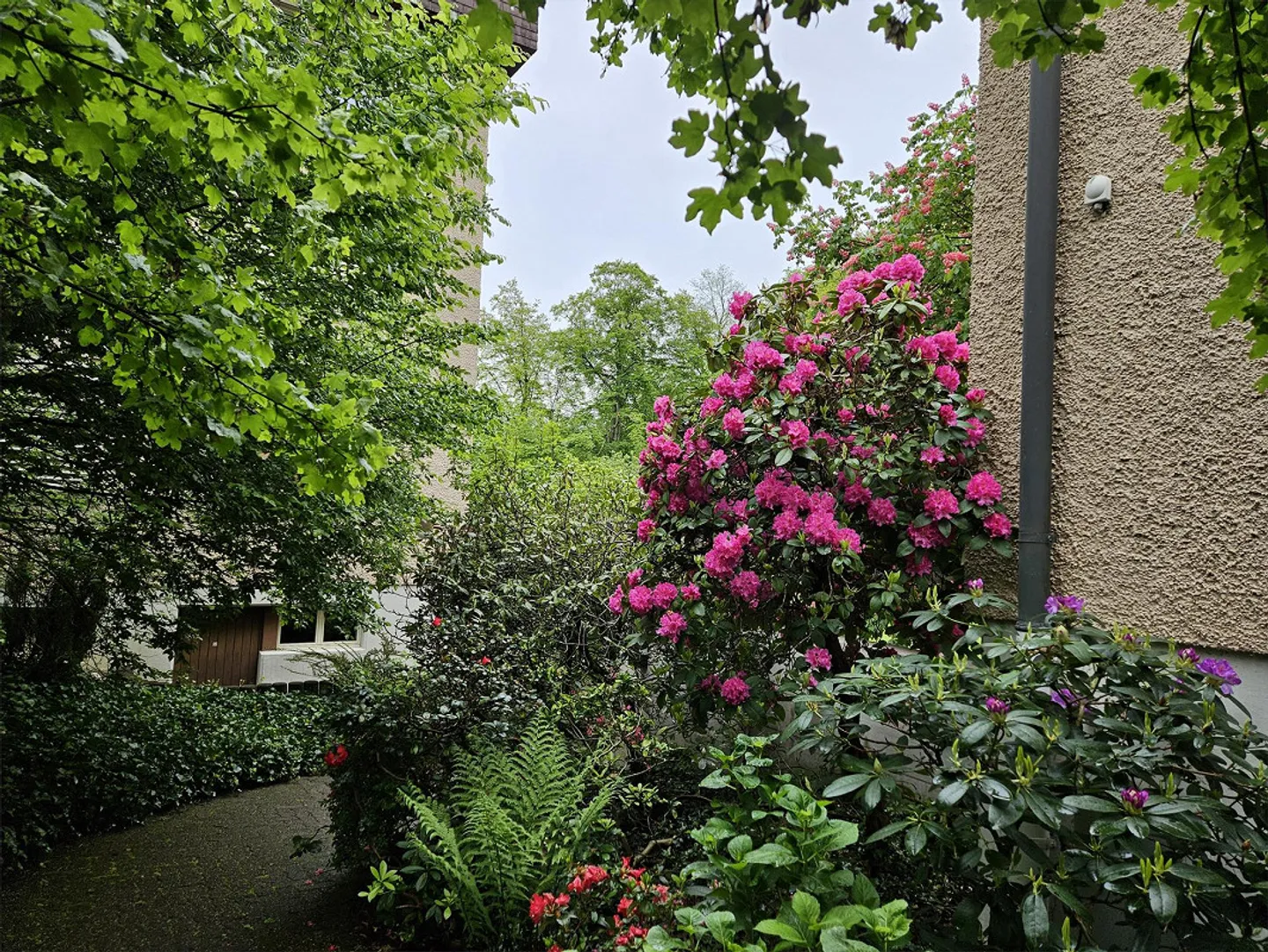 Appartement lumineux de 5,5 pièces avec vue sur la verdure, parquet, calme et central - Photo 17 sur 17