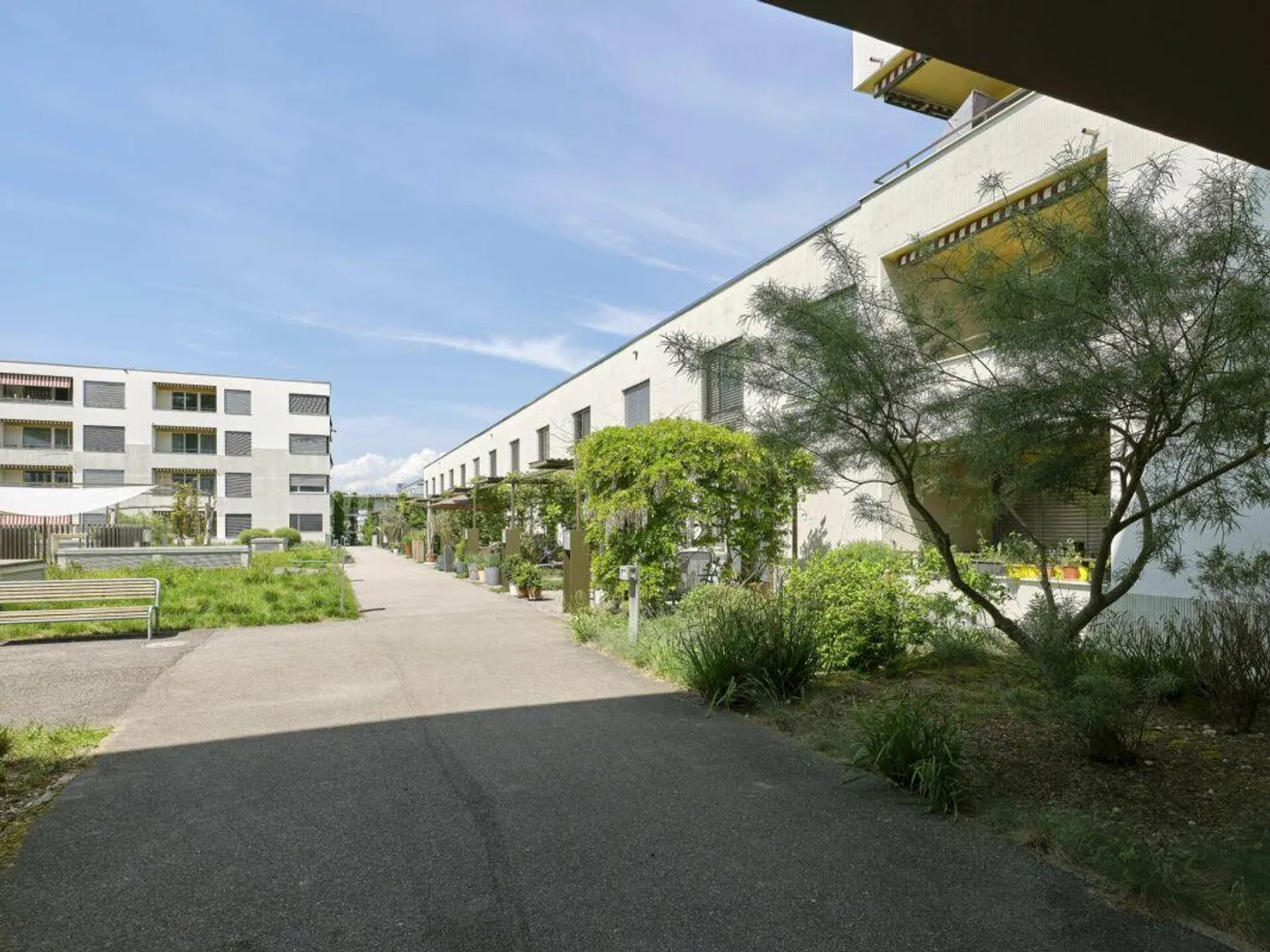 Schönes Wohnen im 3.5-Reihenfamilienhaus - Foto 1 von 7