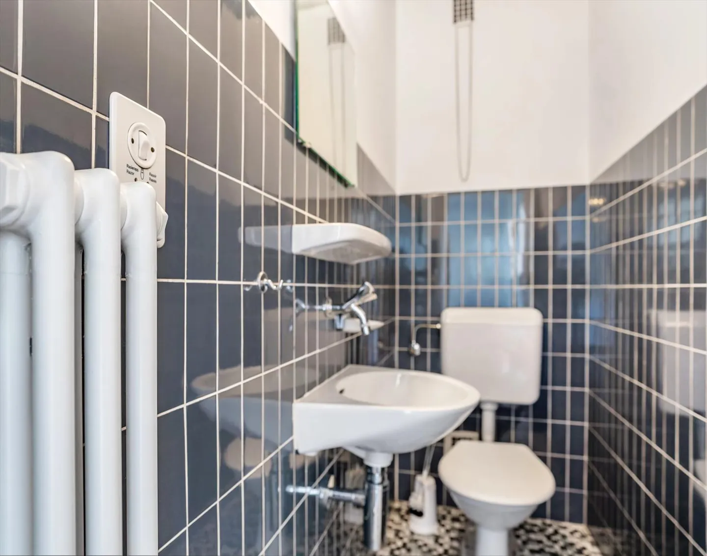 3.5 Room Apartment - Photo 10 of 11