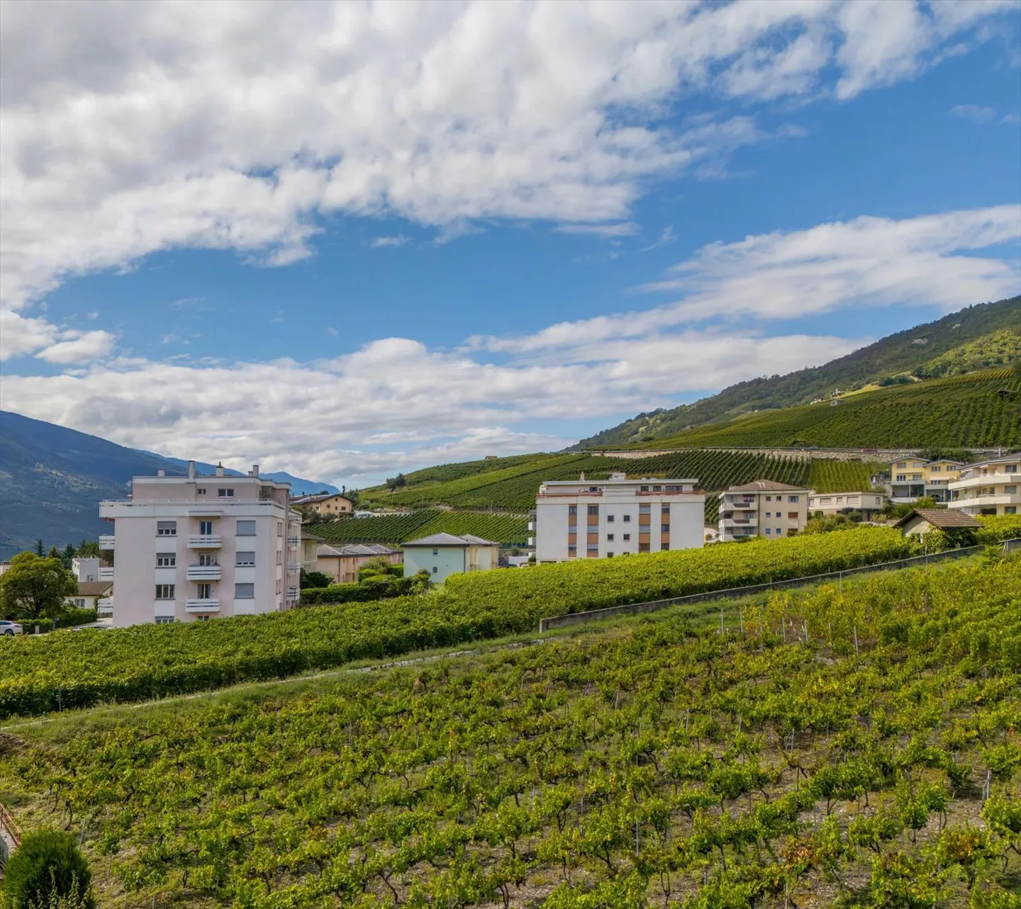 3.5 Room Apartment - Photo 11 of 11