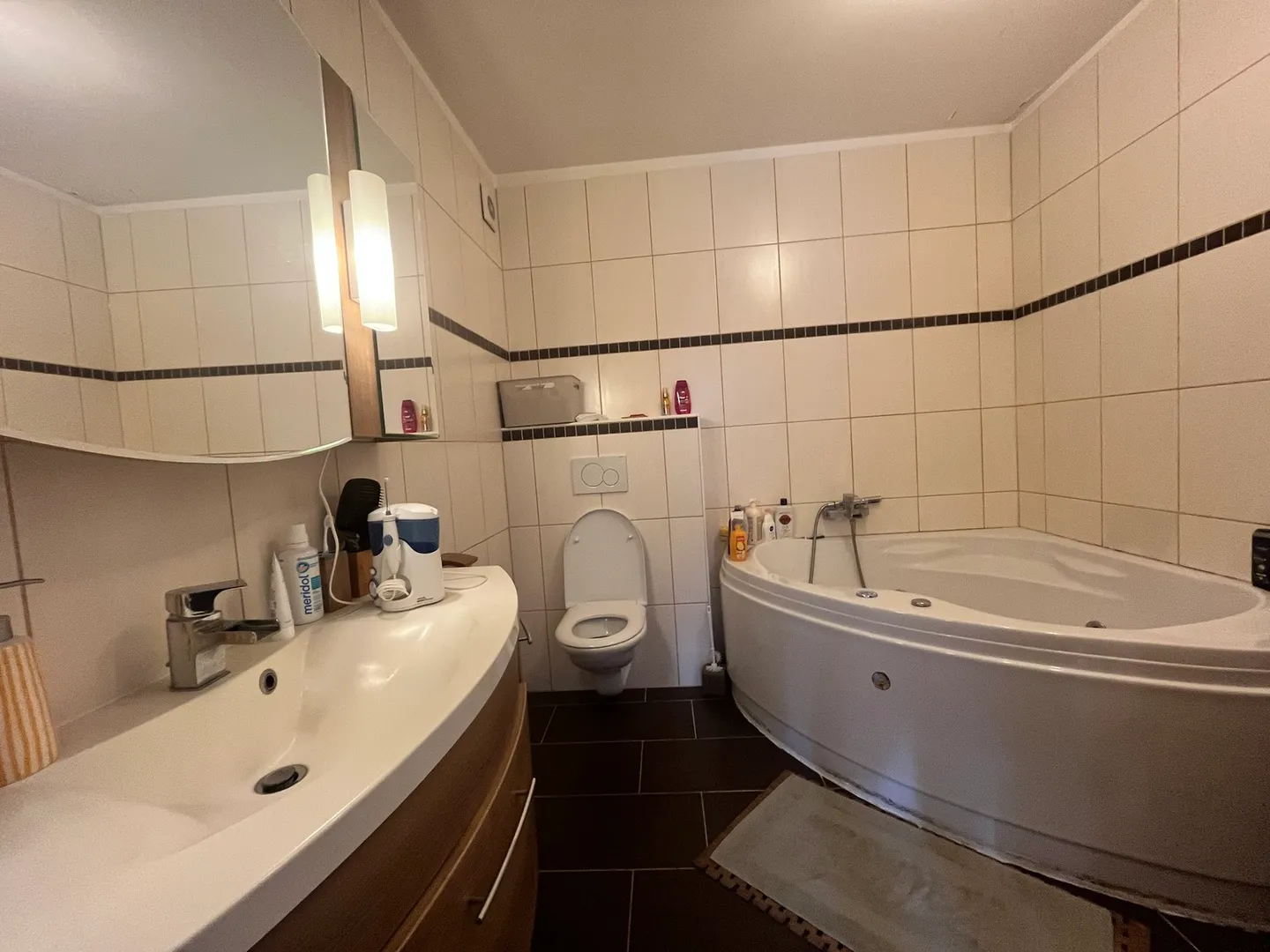 Spacious Apartment in Sierre - Photo 13 of 13