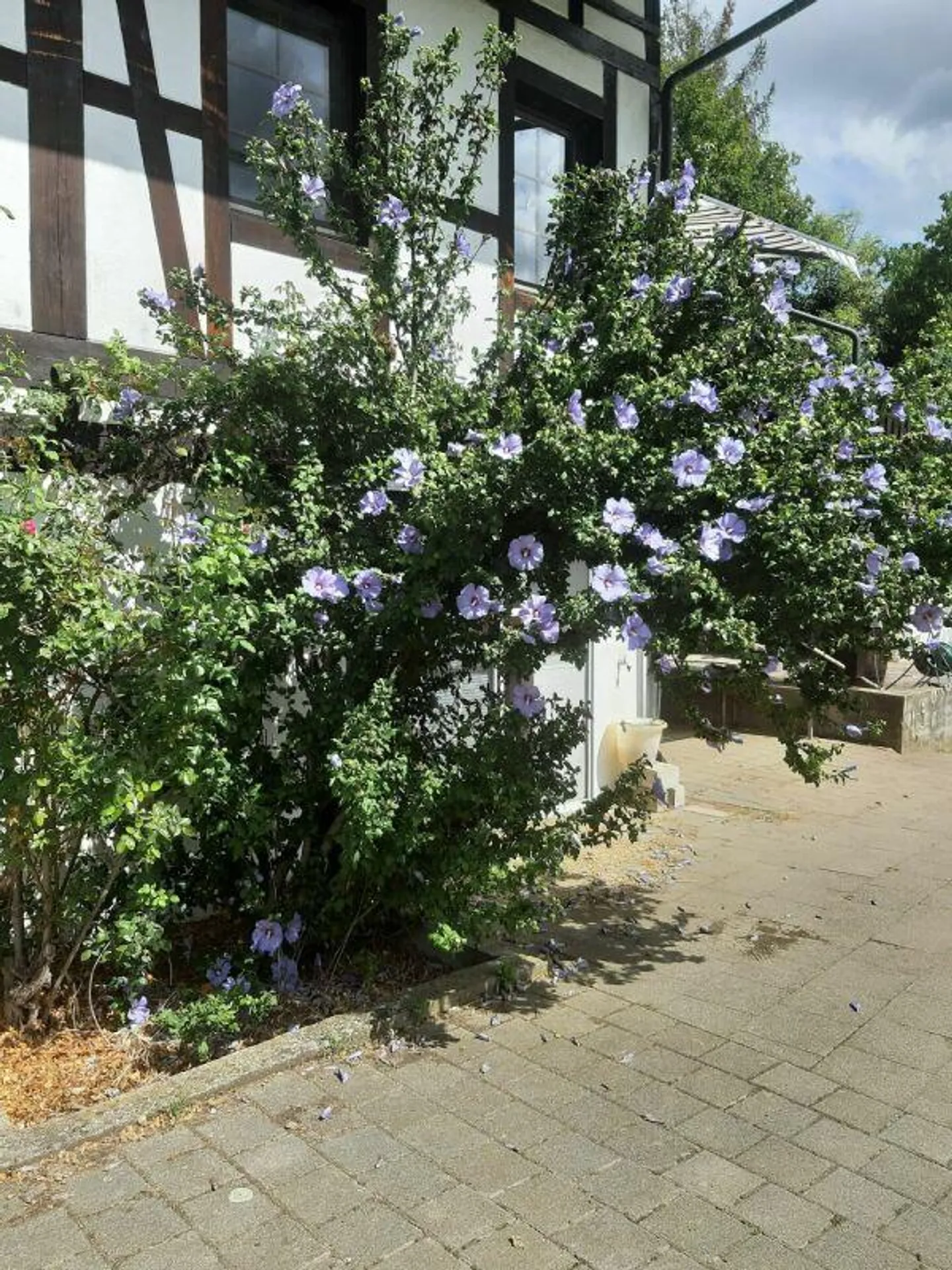 Beuernhaus with Recreation Zone Equestrian Sports - Photo 7 of 30