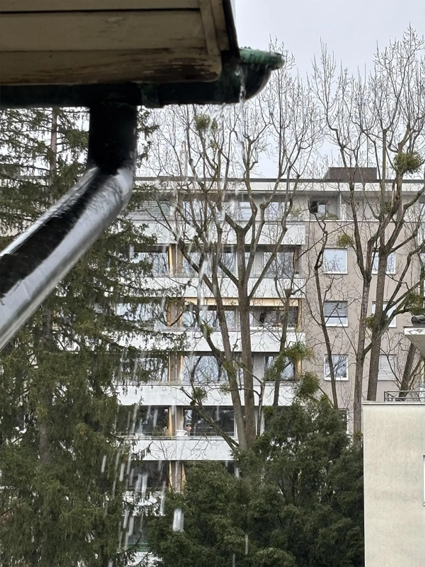 Appartement 4 pièces à Gellert meublé comme solution temporaire - Photo 4 sur 4