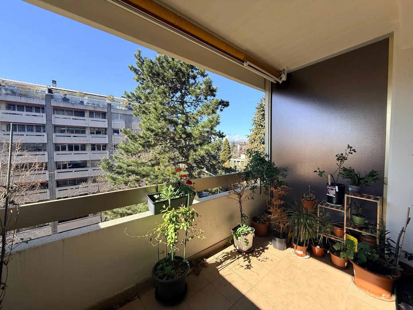 Charmant appartement 4 pièces à Champel - Photo 1 sur 13