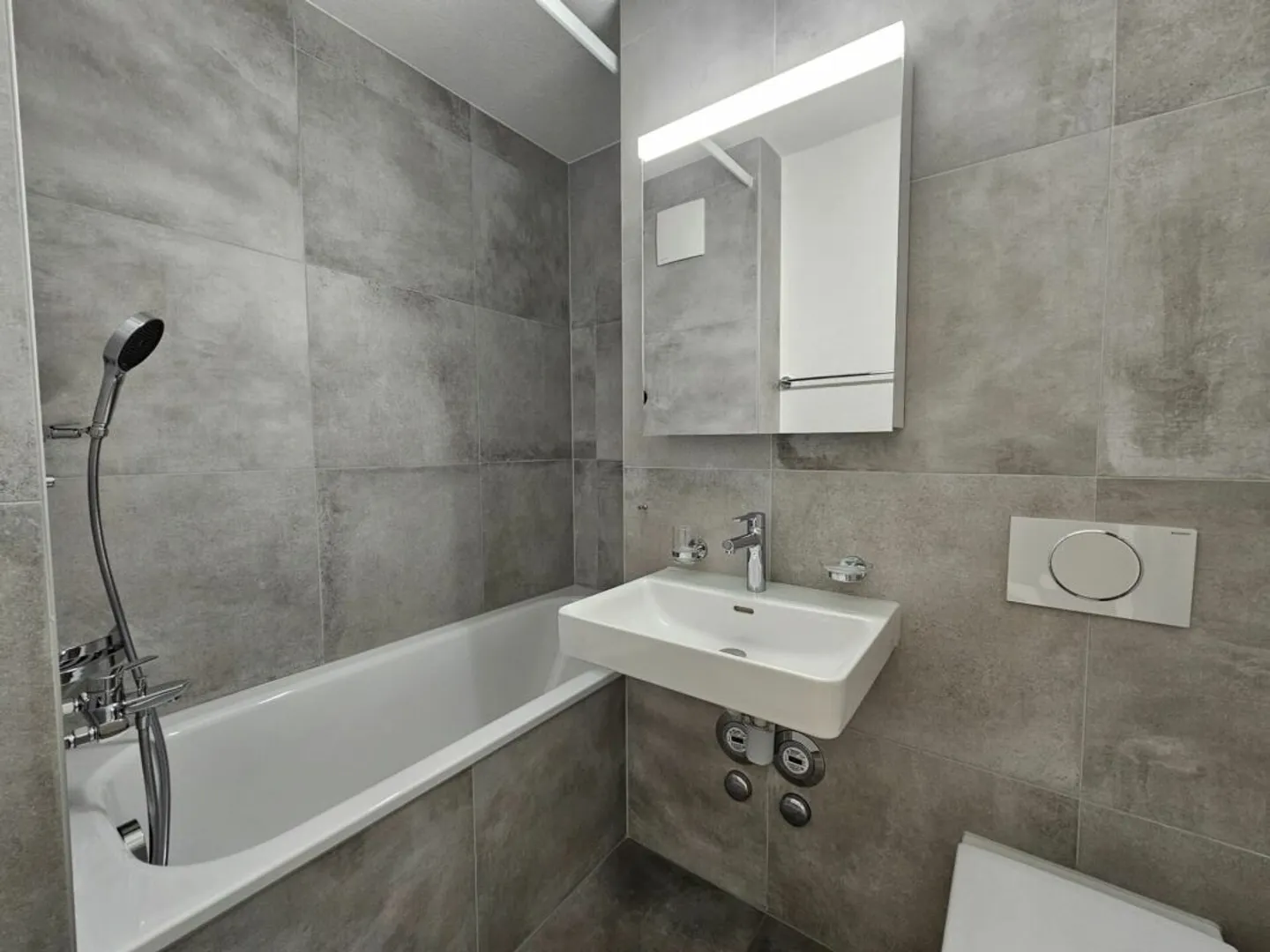 Renovated 3.5 Room Apartment in Urban Location - Photo 7 of 8