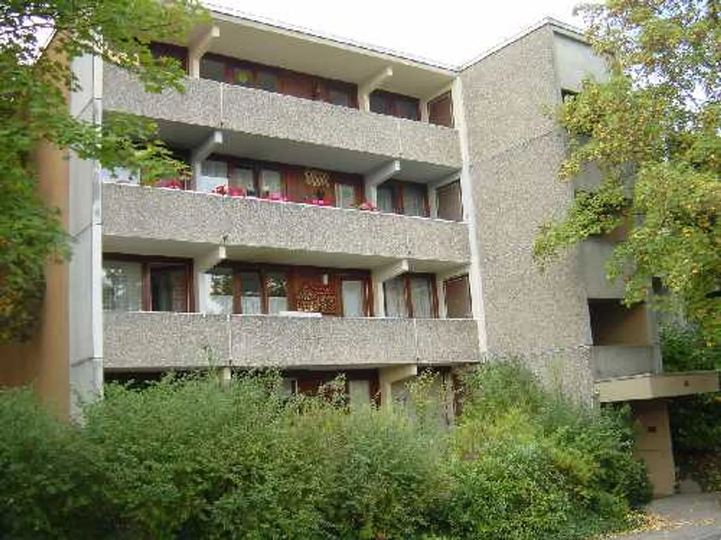 Vivere con vista sul verde - Foto 1 di 1