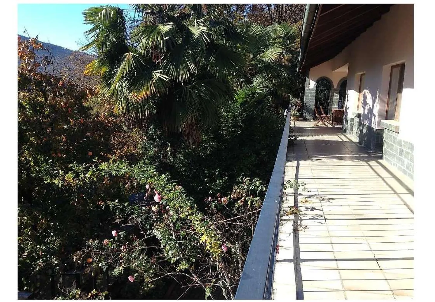 Mehrfamilienhaus in Monteggio - Foto 3 di 11