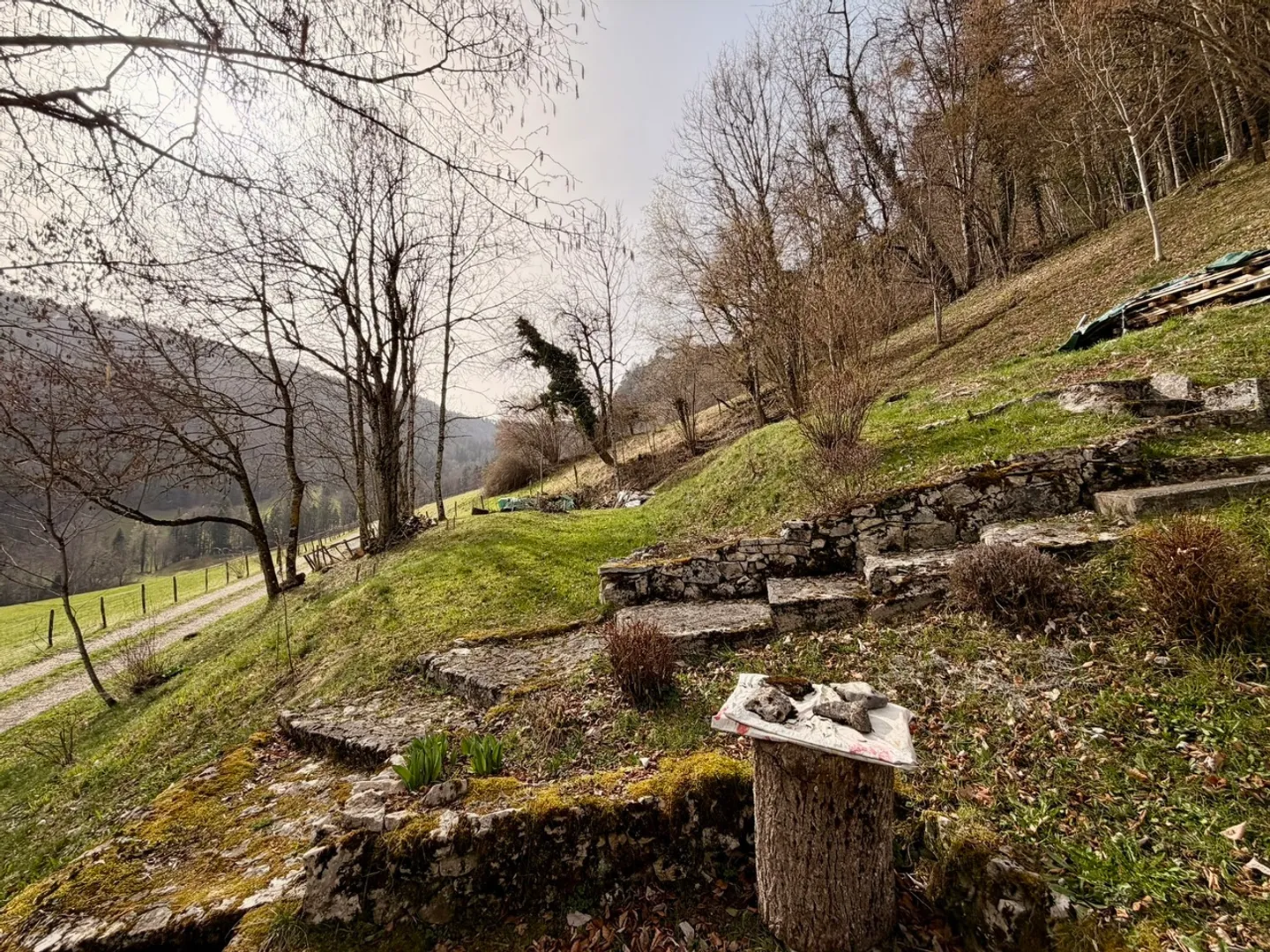 Charming Vacation Home - Photo 4 of 20