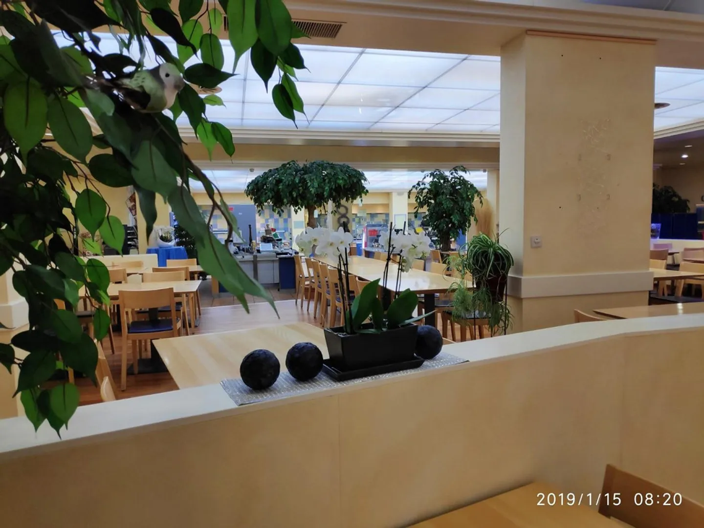 Benvenuti a ZWHATT: Area gastronomica direttamente alla stazione di Regensdorf - Foto 4 di 4