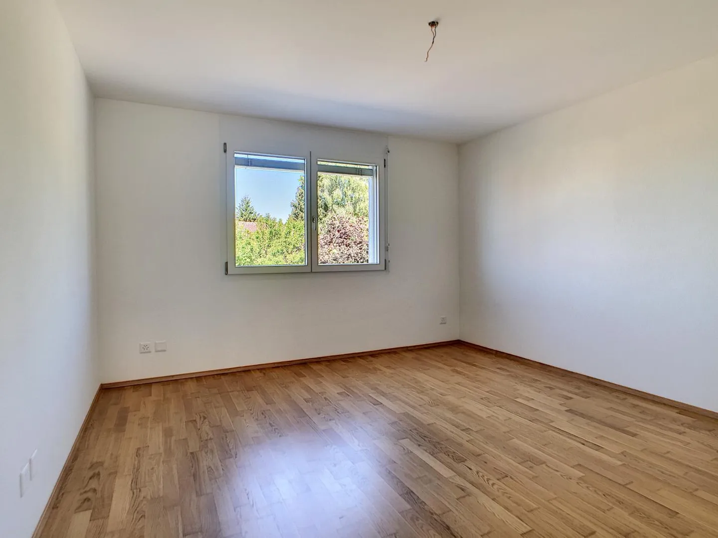 3.5 Room Apartment - Photo 6 of 13
