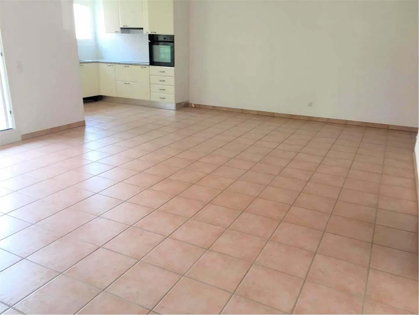 Breganzona 2.5 Rooms, Spacious and Bright Apartment - Photo 4 of 13