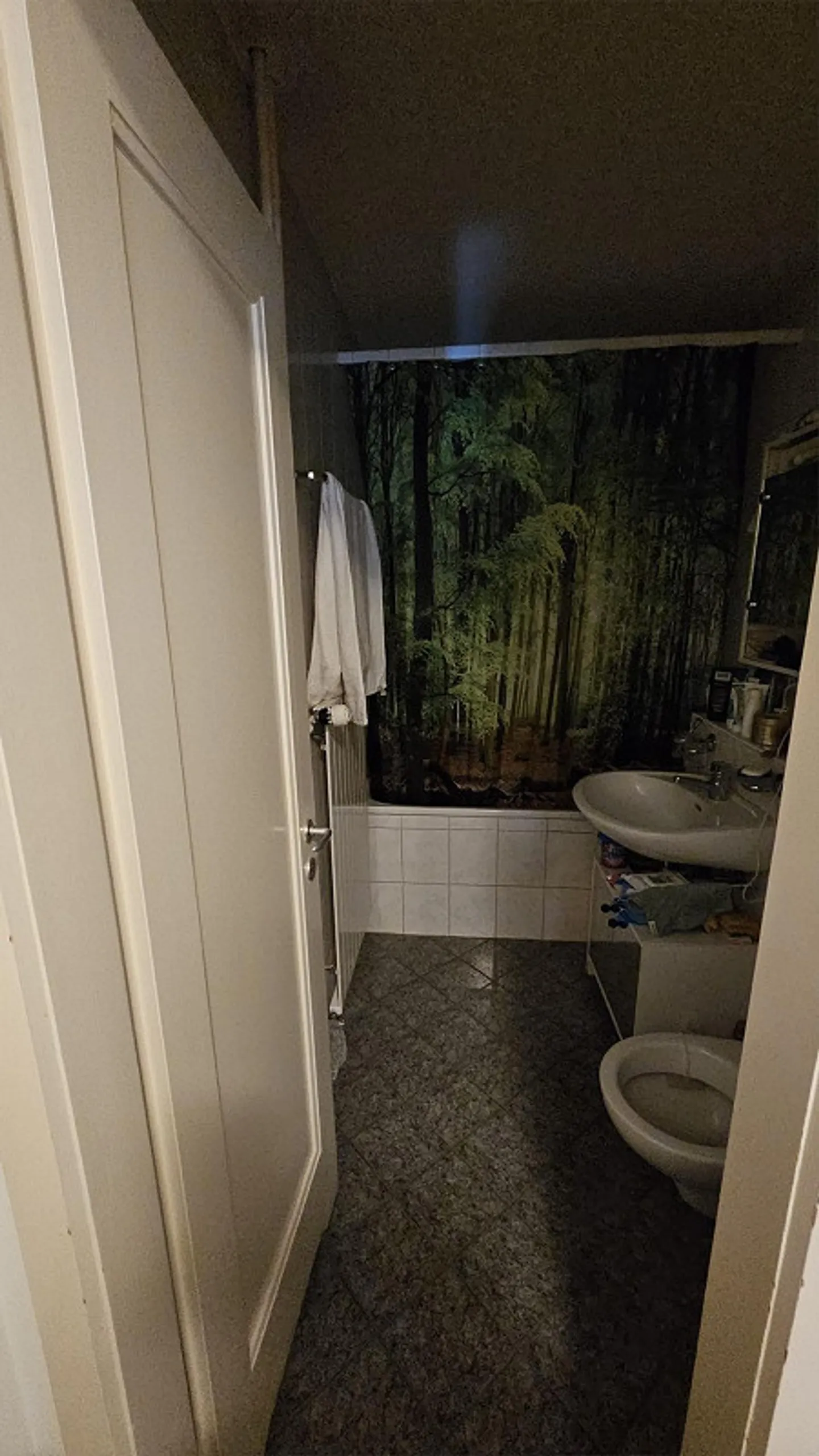 Furnished 2-person shared apartment in Winterthur-Seen – 20 m² room in 100 m² apartment - Photo 3 of 7