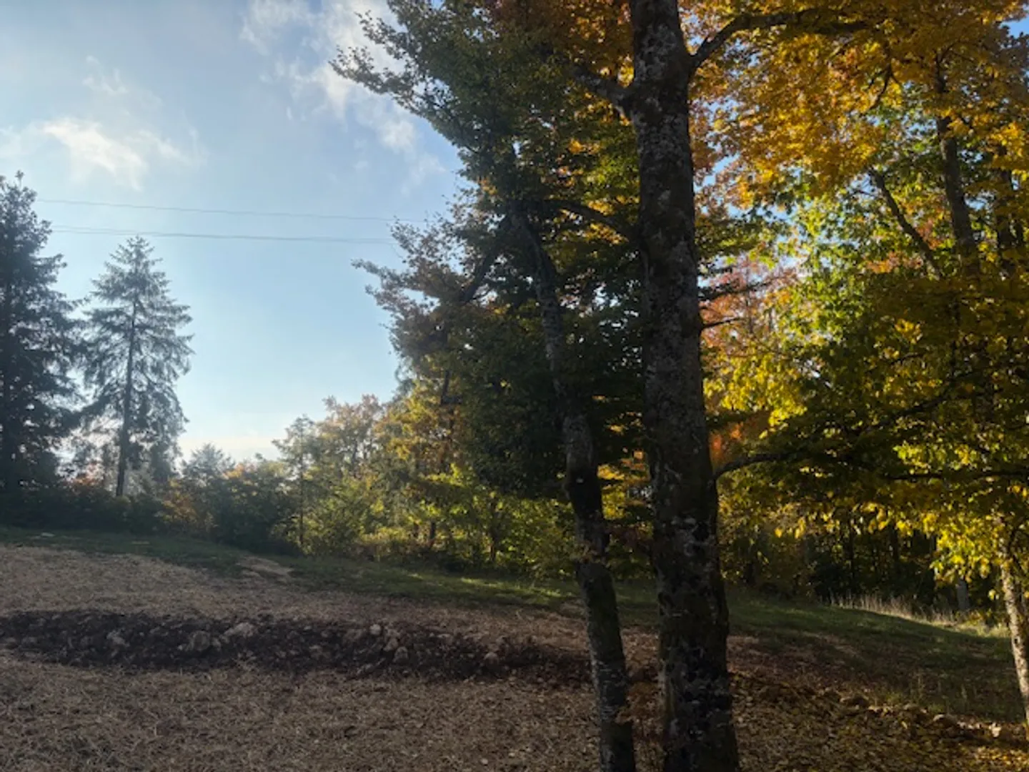 Spacious new 4.5-room apartment with balcony/terrace in Saint-Cergue - Photo 3 of 11