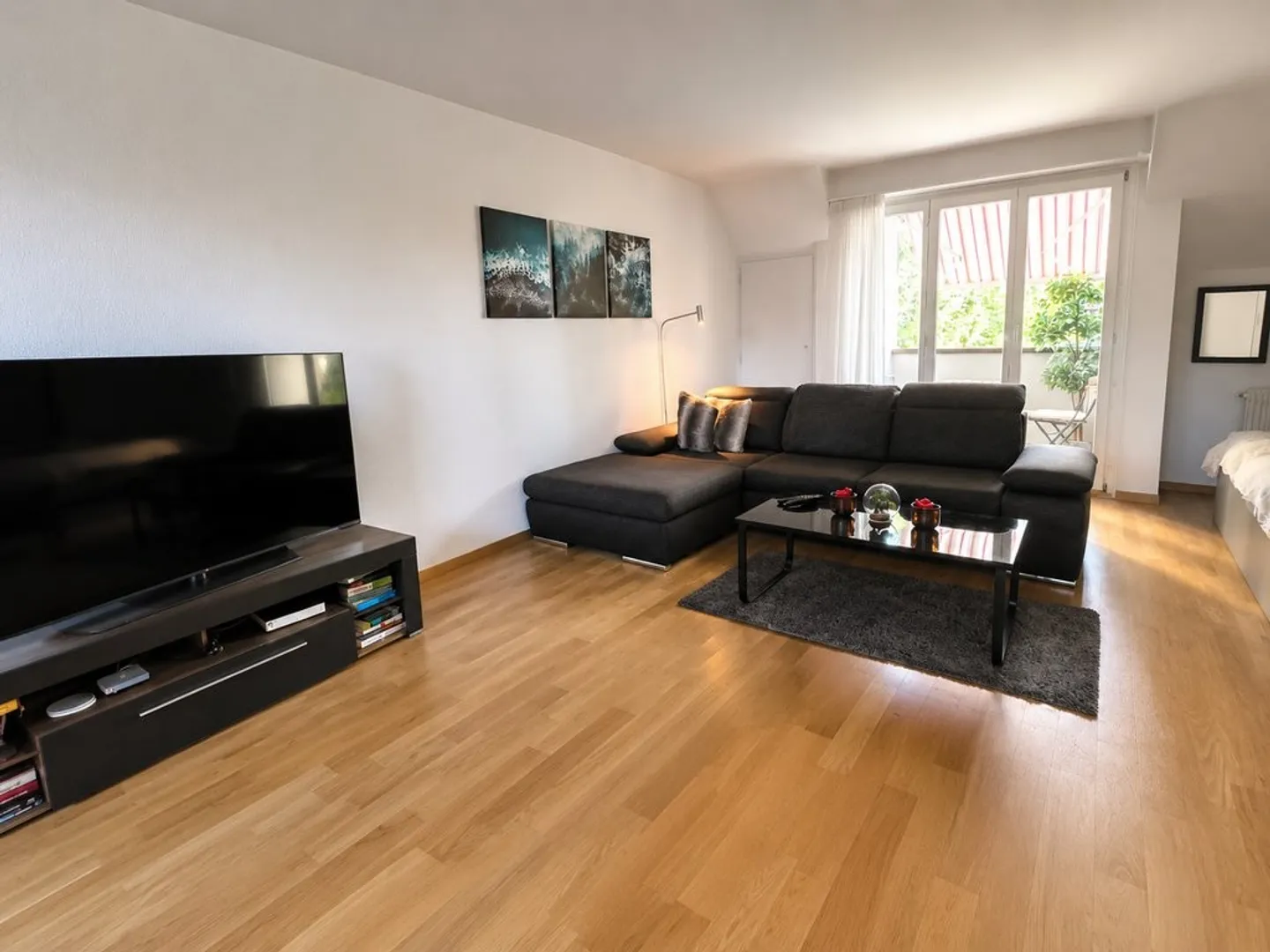 1.5 Room Apartment - Photo 4 of 8