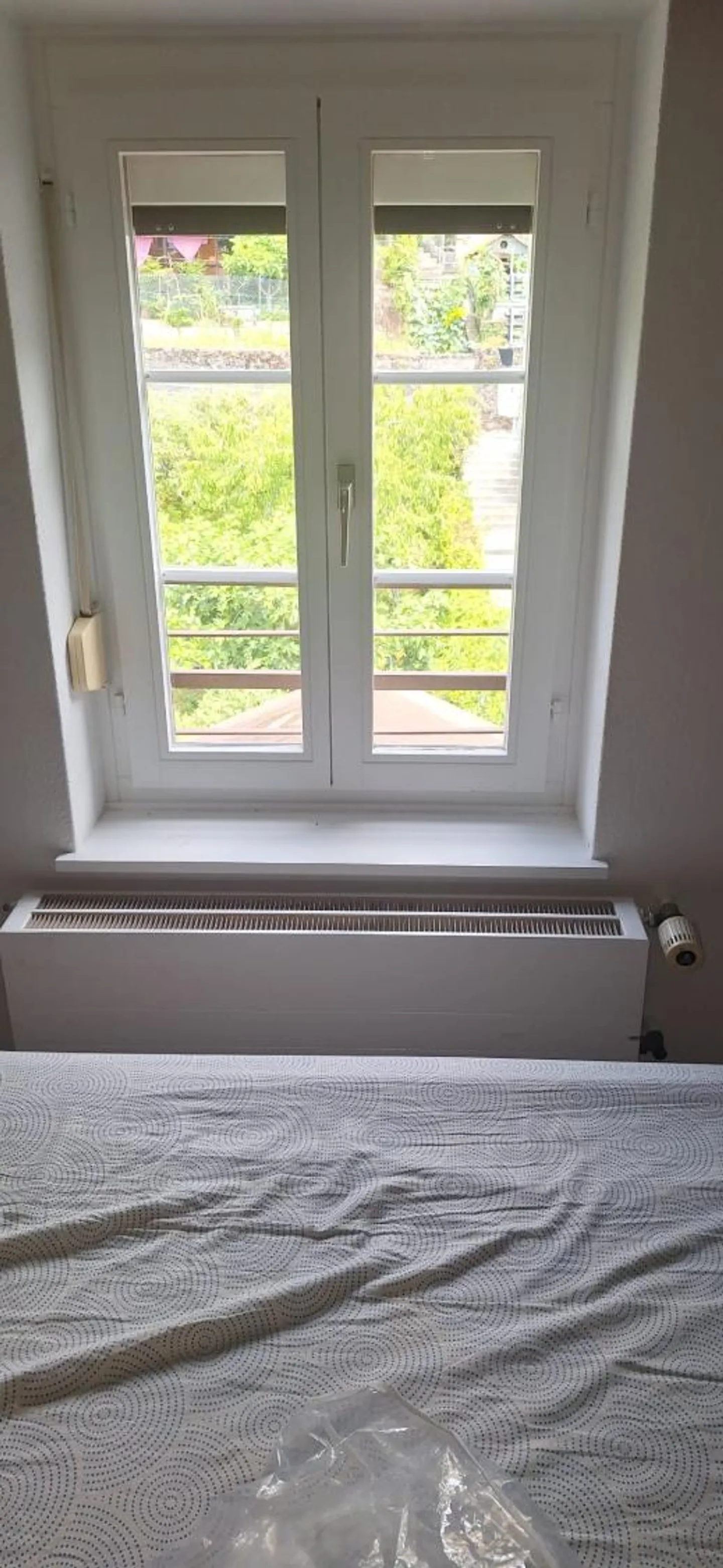 1.5 Room Apartment - Photo 4 of 6