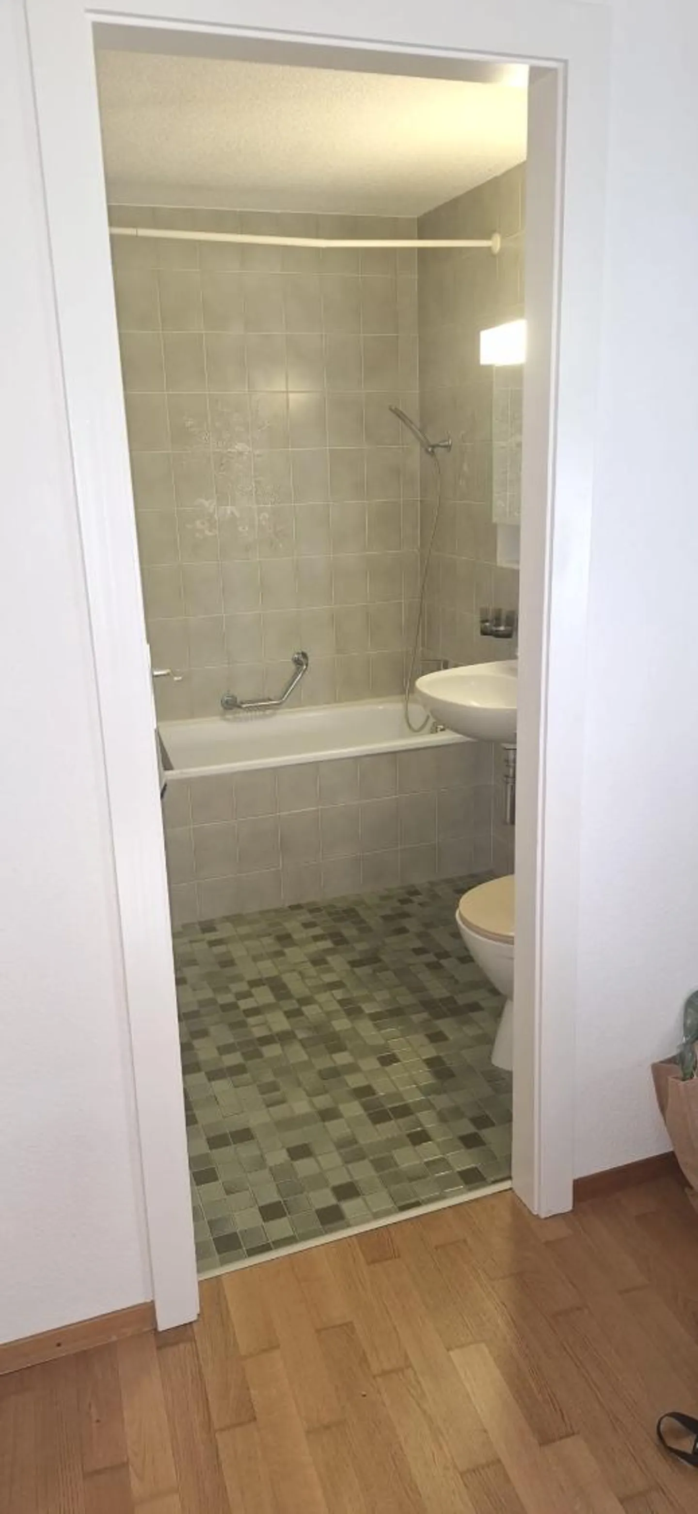 1.5 Room Apartment - Photo 6 of 6