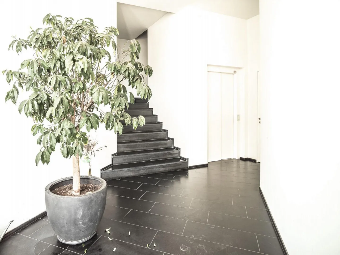 Appartamento 5.5 stanze ultra moderno con vista fantastica sul lago - Foto 7 di 30