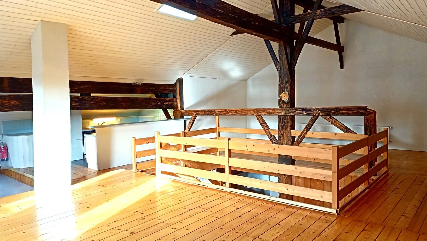 Belle ferme avec deux appartements de 300 m2 et 220 m2 de grange et de paddock - Photo 15 sur 42
