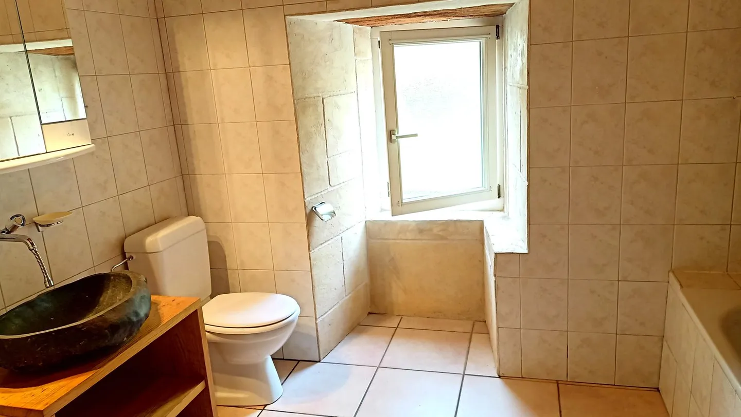 Belle ferme avec deux appartements de 300 m2 et 220 m2 de grange et de paddock - Photo 24 sur 42