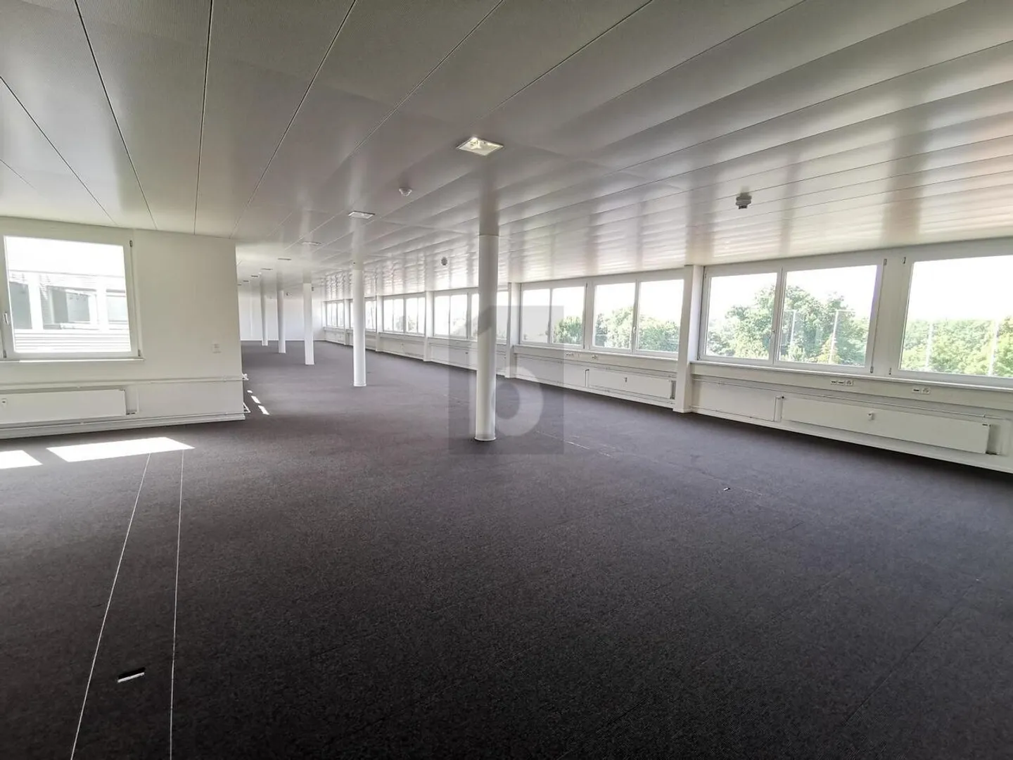 Geräumige Bürofläche in Pratteln - Foto 2 von 6