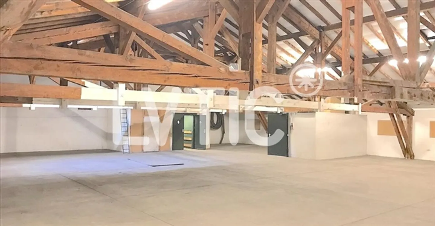 Espace Commercial Spacieux - Photo 3 sur 4