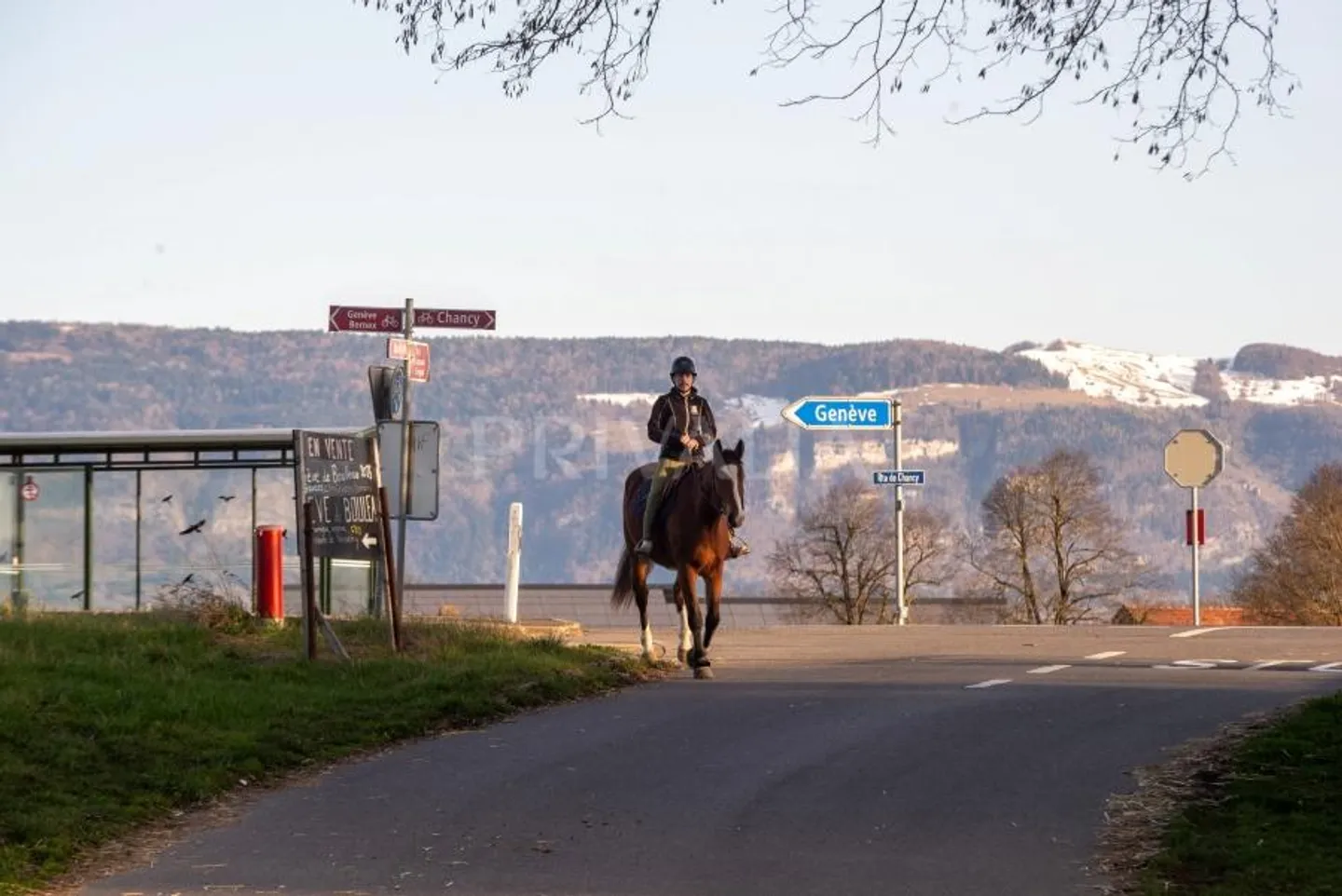 Charmantes Familienhaus mit Garten - Foto 6 von 7