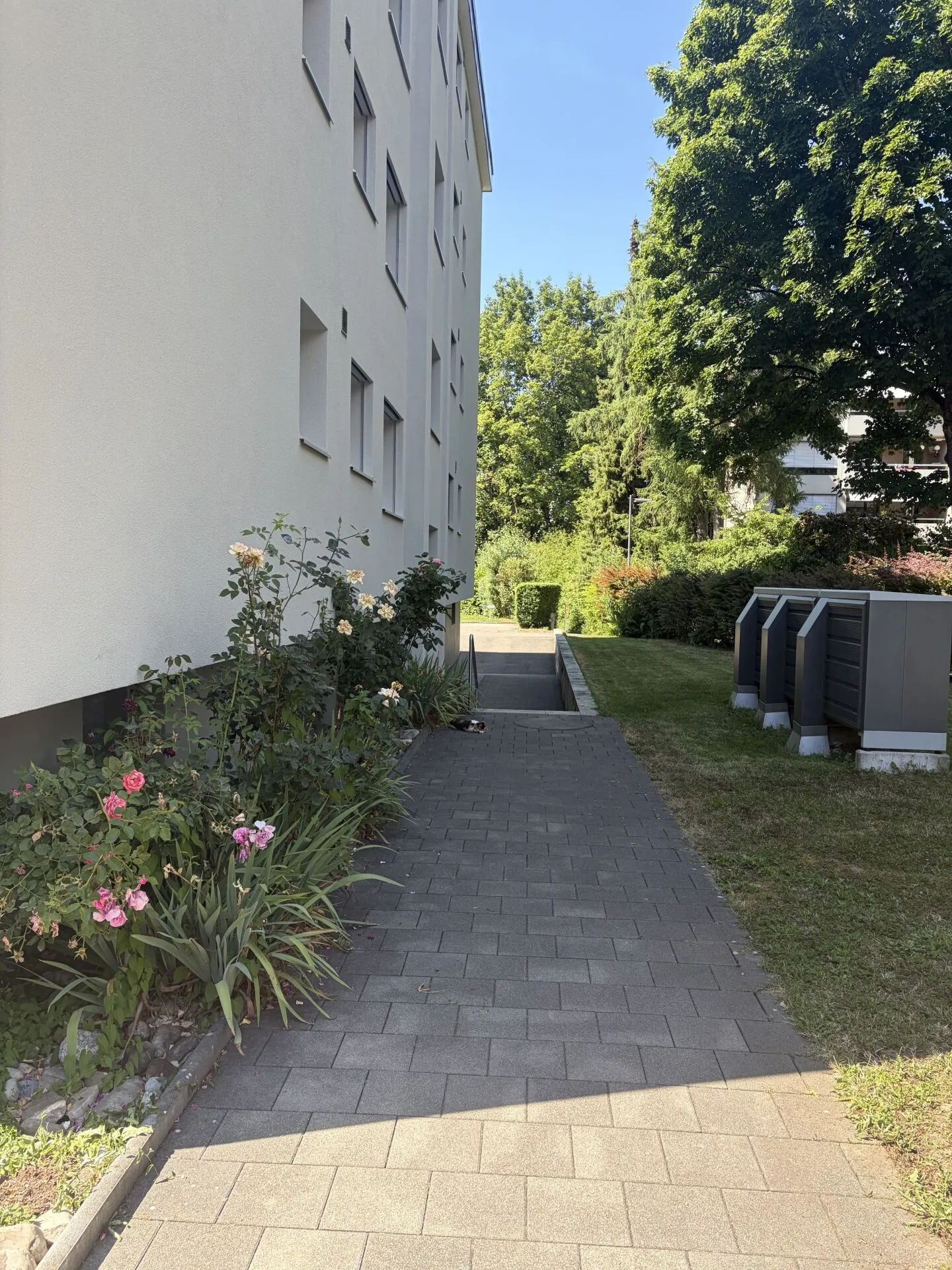 Barrier-free 3.5-room apartment with huge balcony in Urtenen-Schönbühl for rent! - Photo 2 of 18