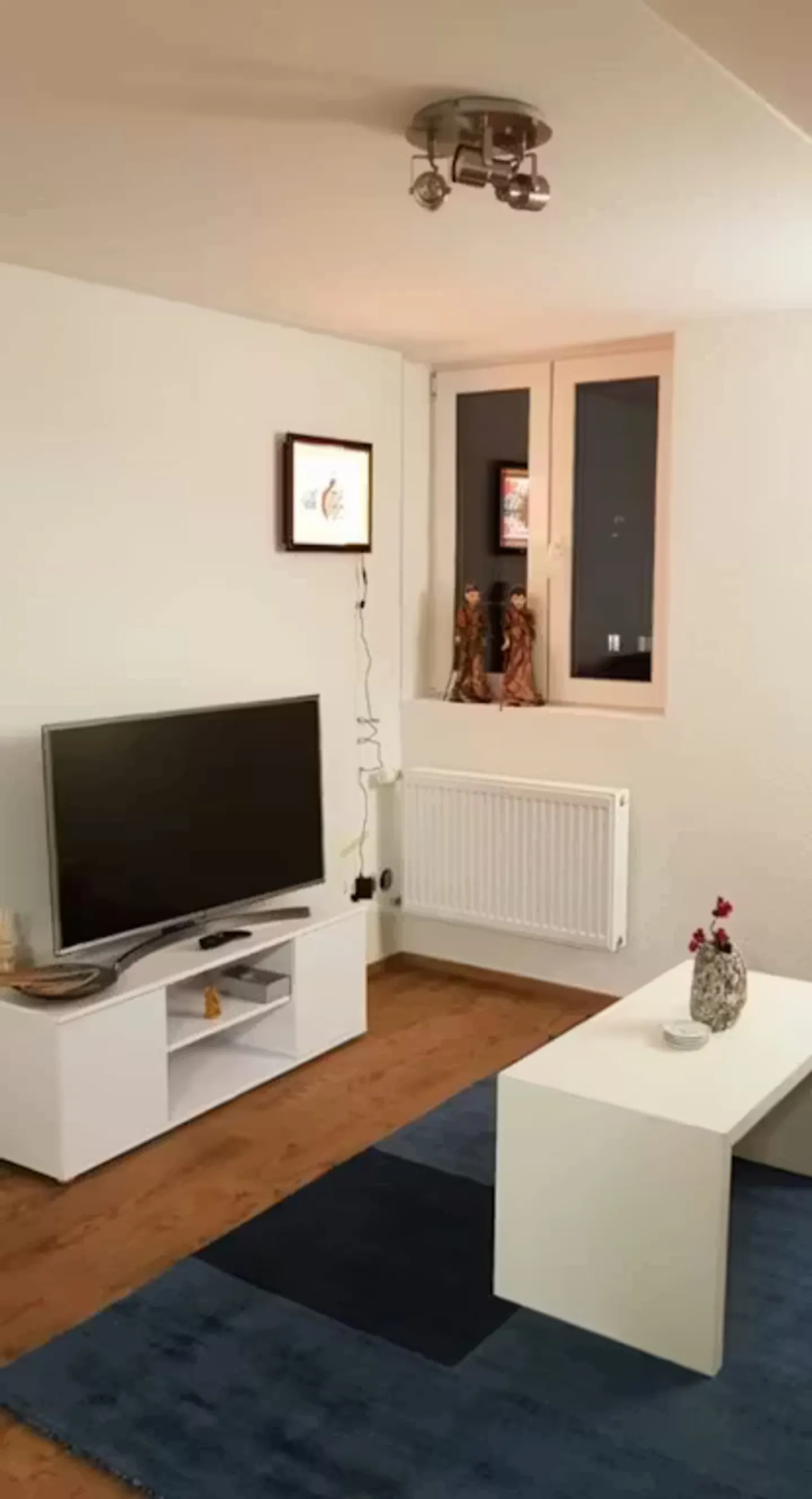 Chalet Charmant à Dietikon - Photo 4 sur 10