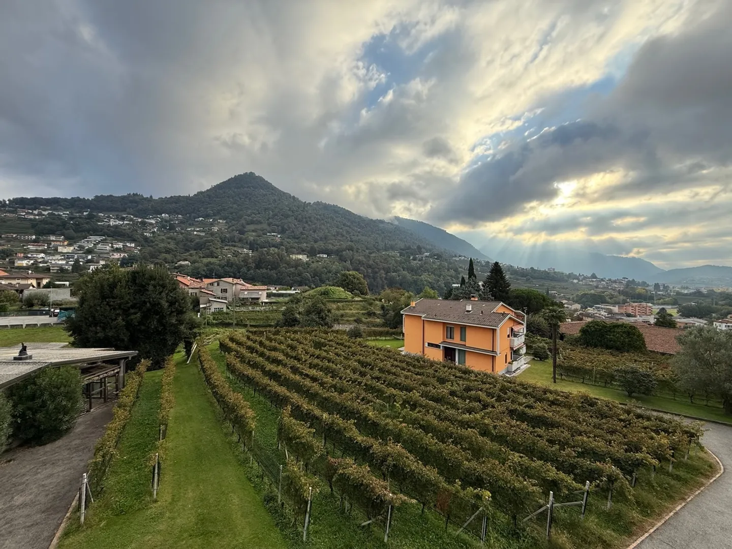 Bellissimo appartamento di 4.5 stanze in una posizione molto comoda e tranquilla con vista sui vigneti - Foto 5 di 12