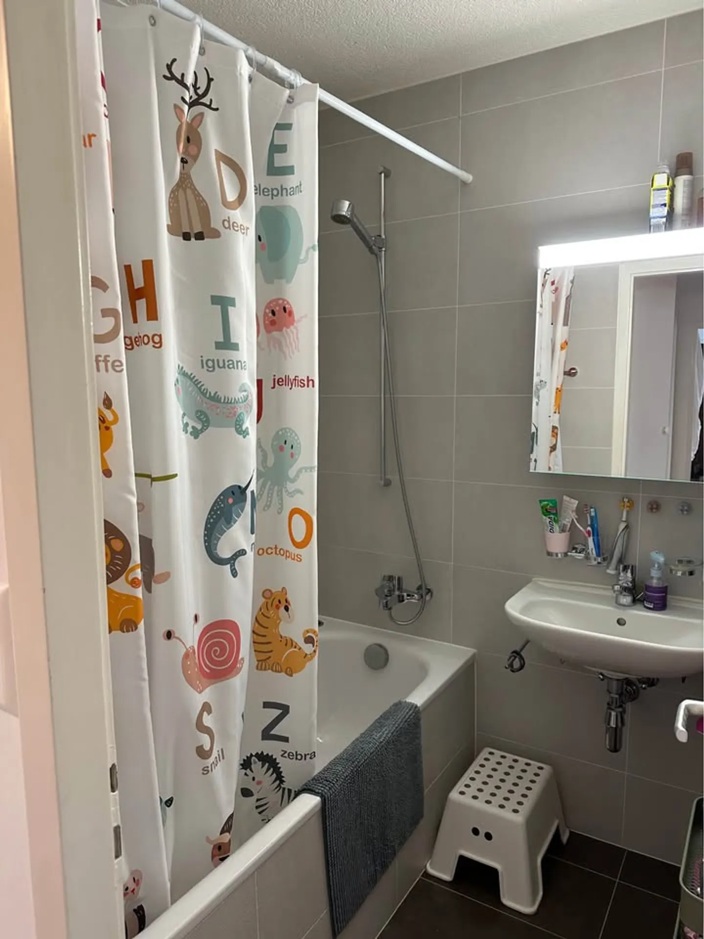 Appartamento 5 stanze - Foto 7 di 8