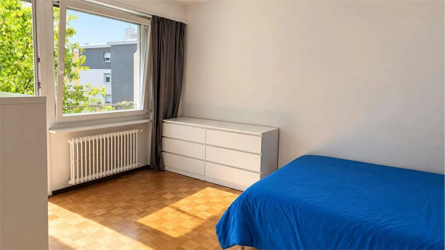 Lugano (Via General Guisan) - Spacious 2.5 Rooms with New Kitchen and B - Photo 4 of 7