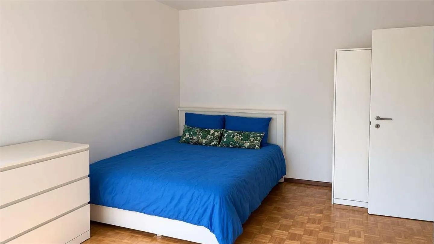 Lugano (Via General Guisan) - Spacious 2.5 Rooms with New Kitchen and B - Photo 7 of 7