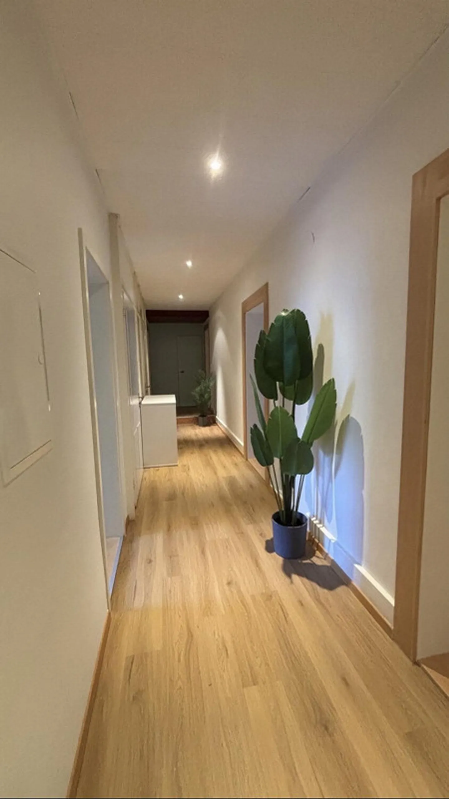 Chambre meublée dans un appartement partagé étudiant 12m2, central, calme - Photo 8 sur 9